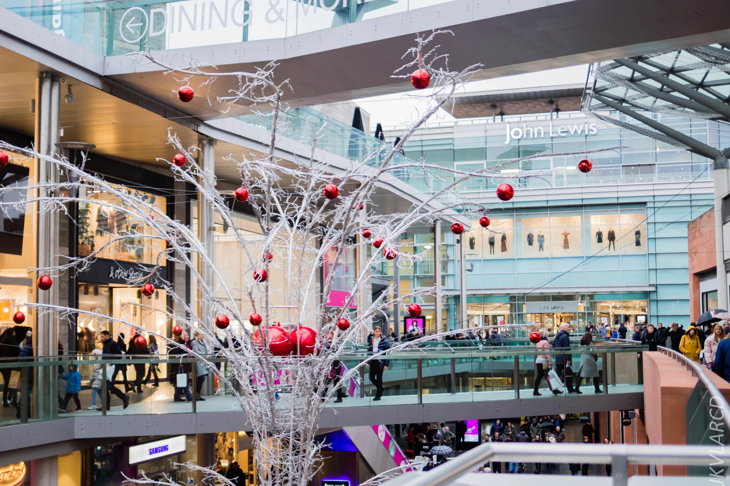 EOS 7D Mark II_2019_11_09_7748.jpg