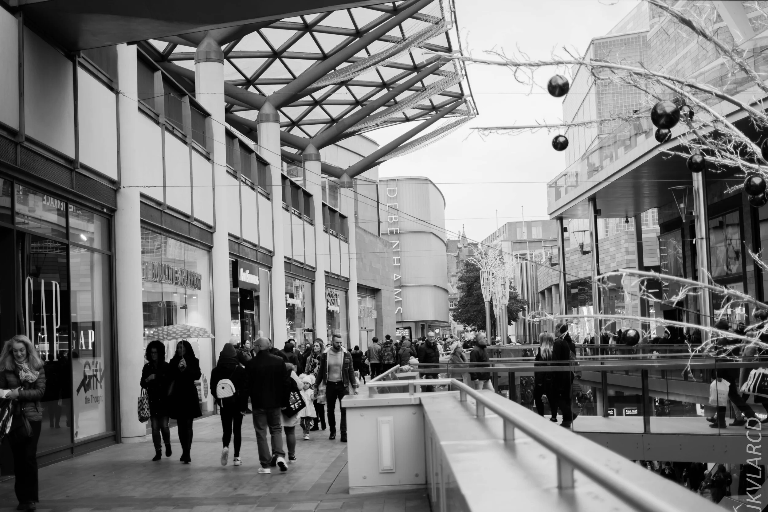 EOS 7D Mark II_2019_11_09_7749.jpg