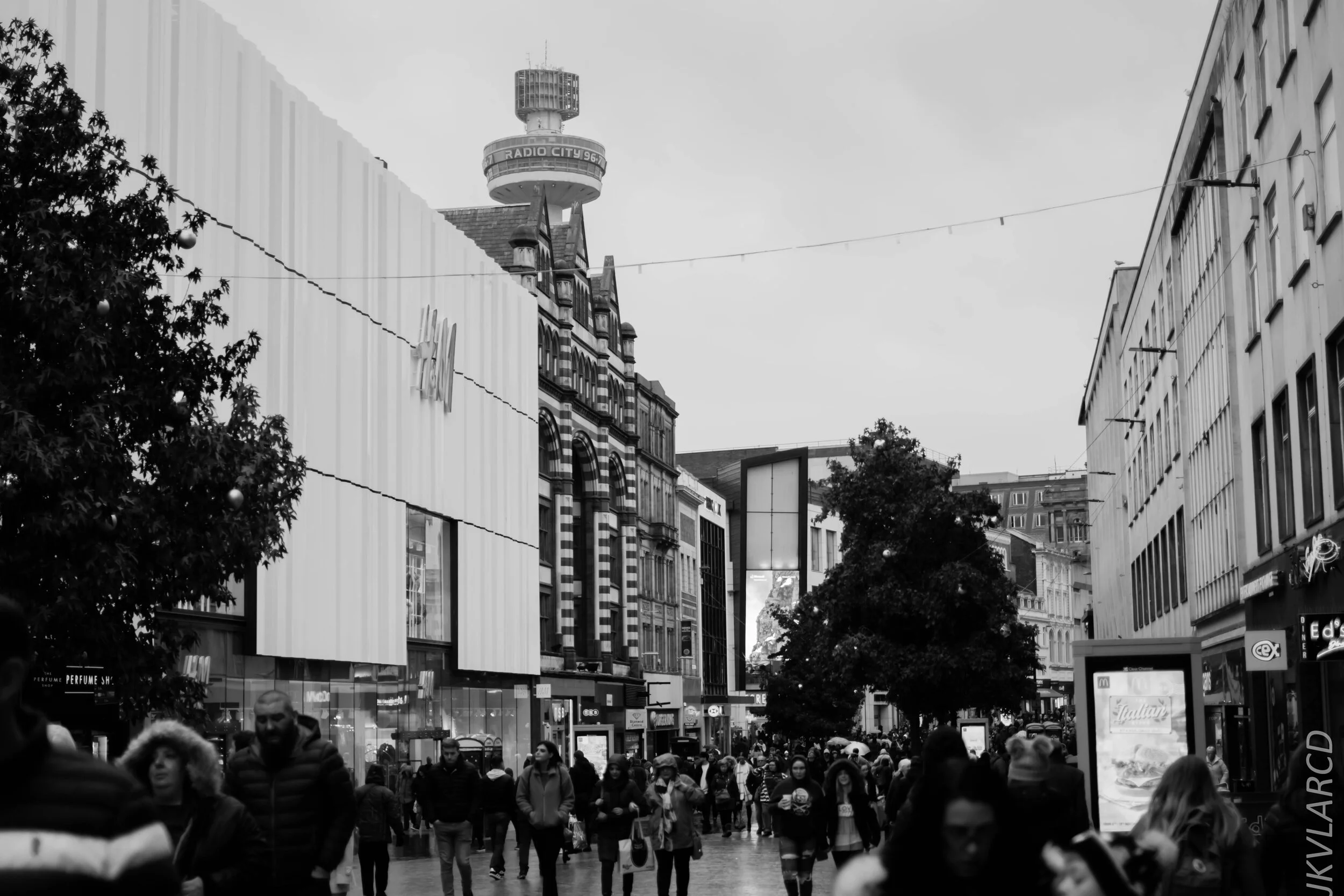 EOS 7D Mark II_2019_11_09_7753.jpg