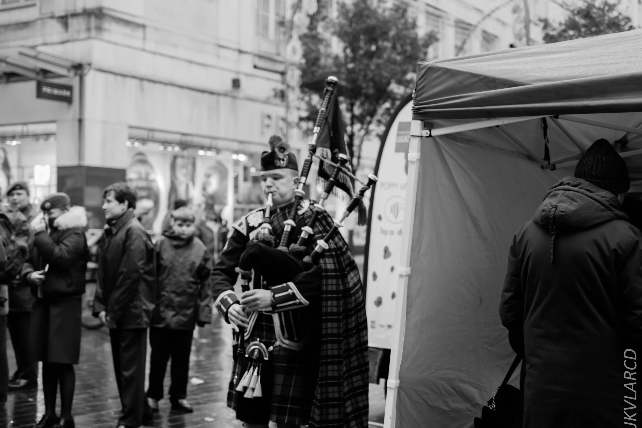 EOS 7D Mark II_2019_11_09_7757.jpg