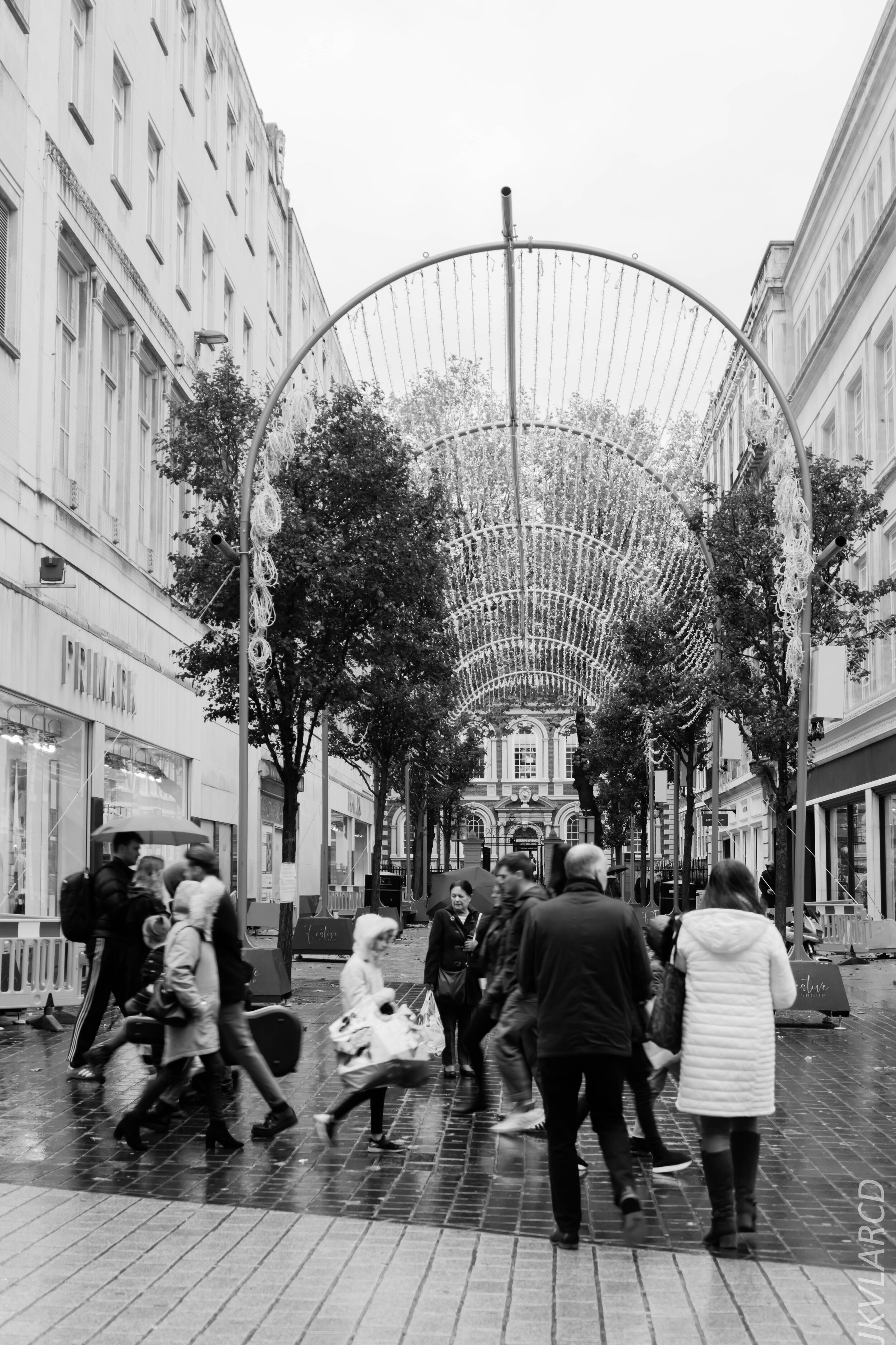 EOS 7D Mark II_2019_11_09_7759.jpg