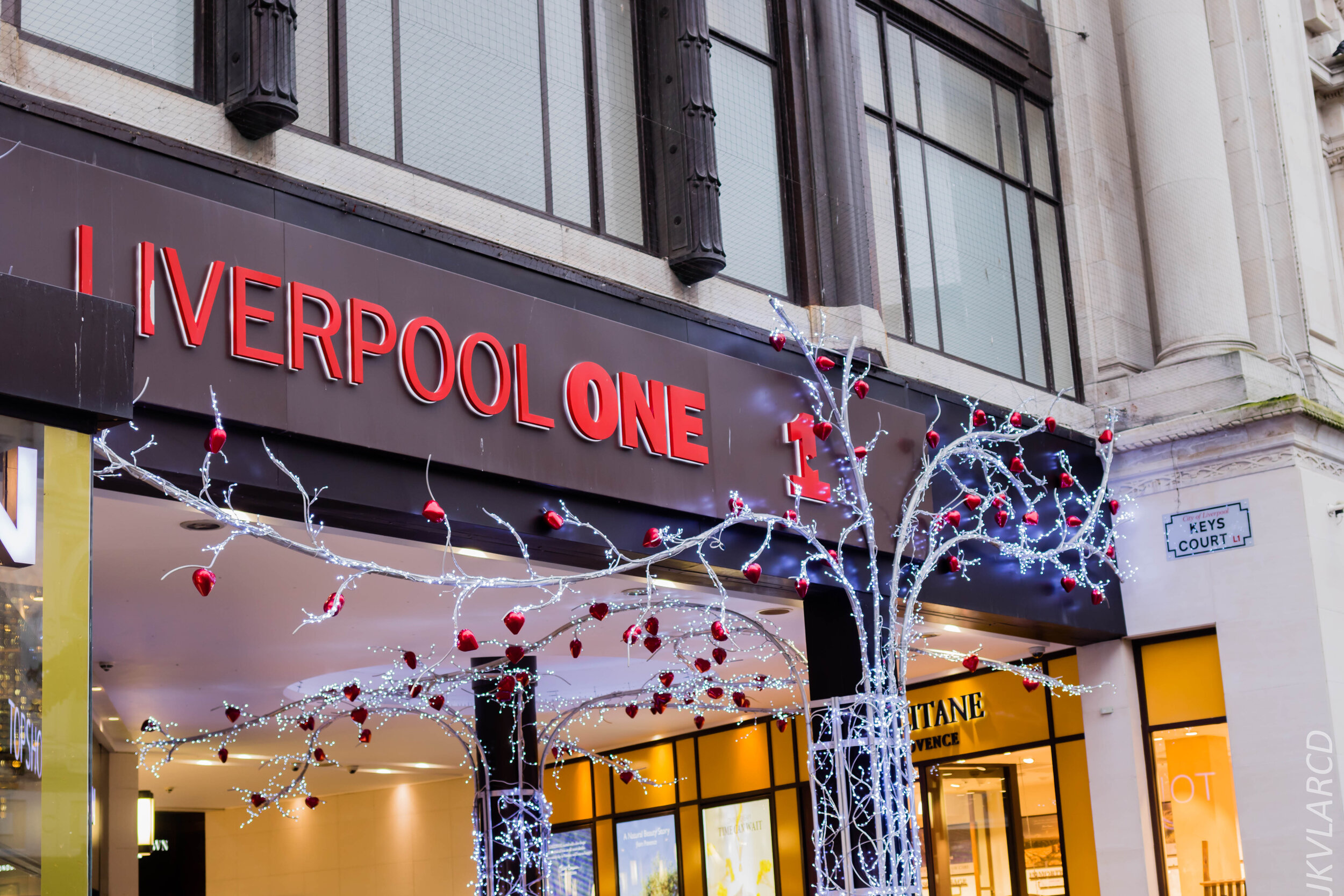 EOS 7D Mark II_2019_11_09_7761.jpg