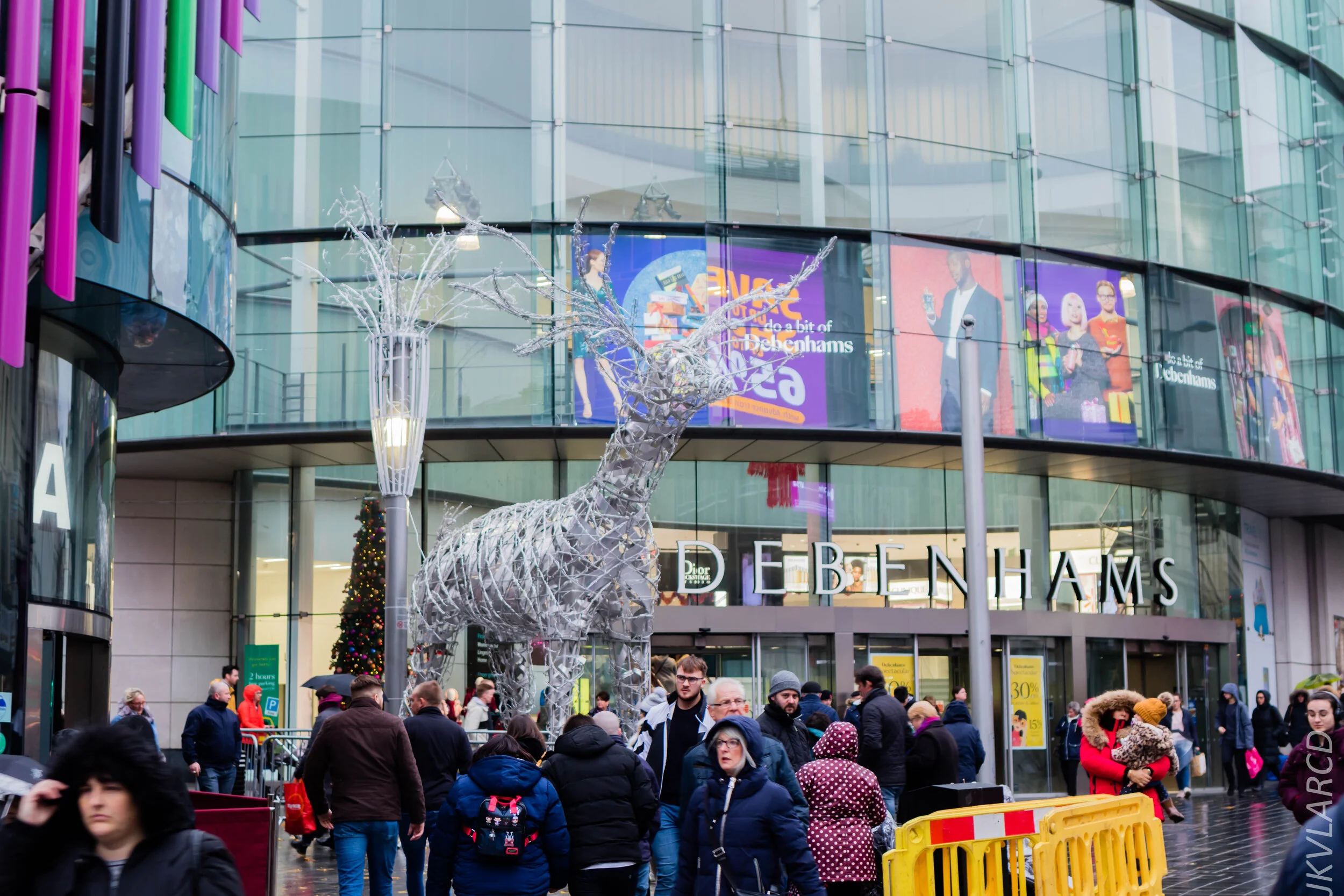 EOS 7D Mark II_2019_11_09_7763.jpg