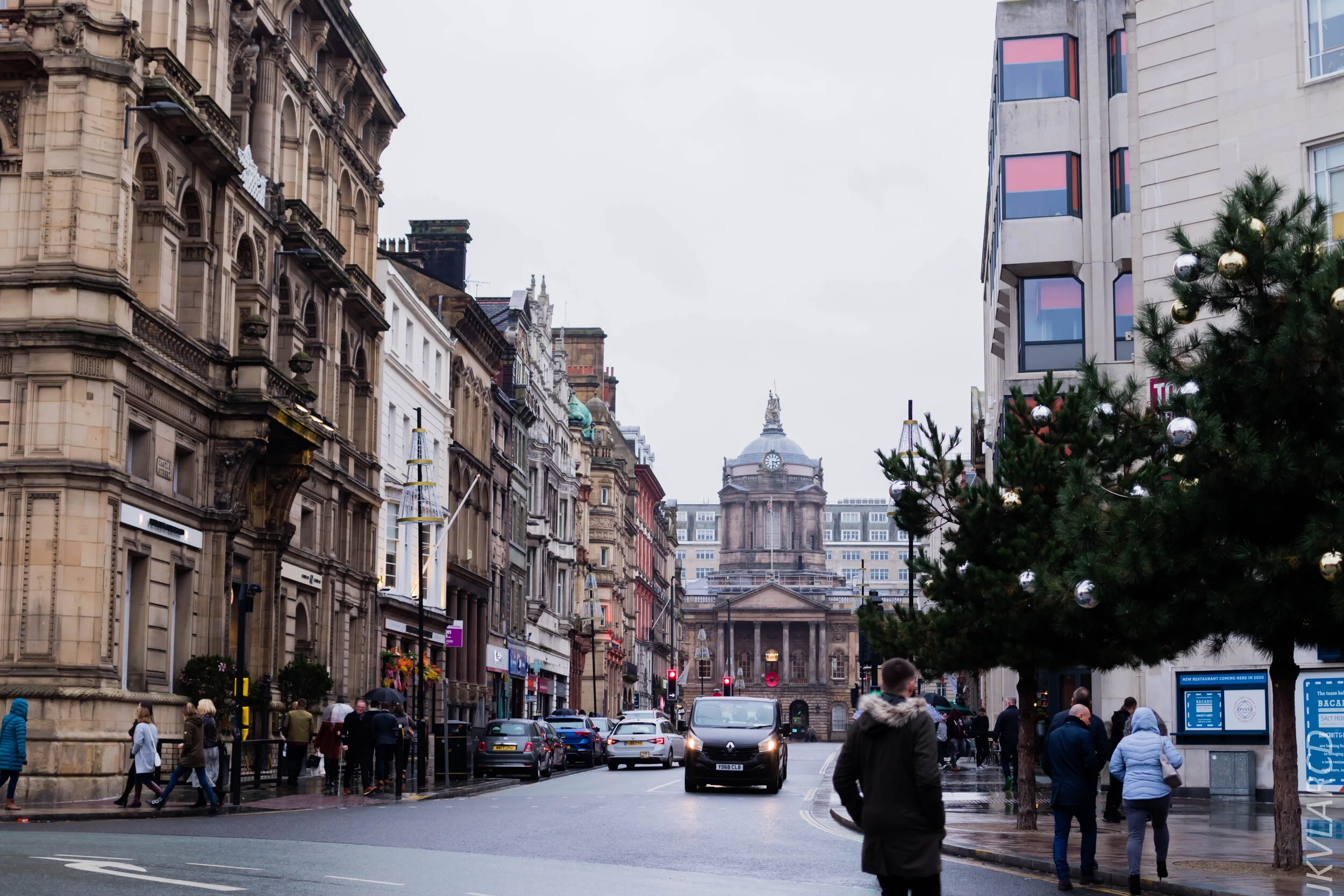 EOS 7D Mark II_2019_11_09_7766.jpg