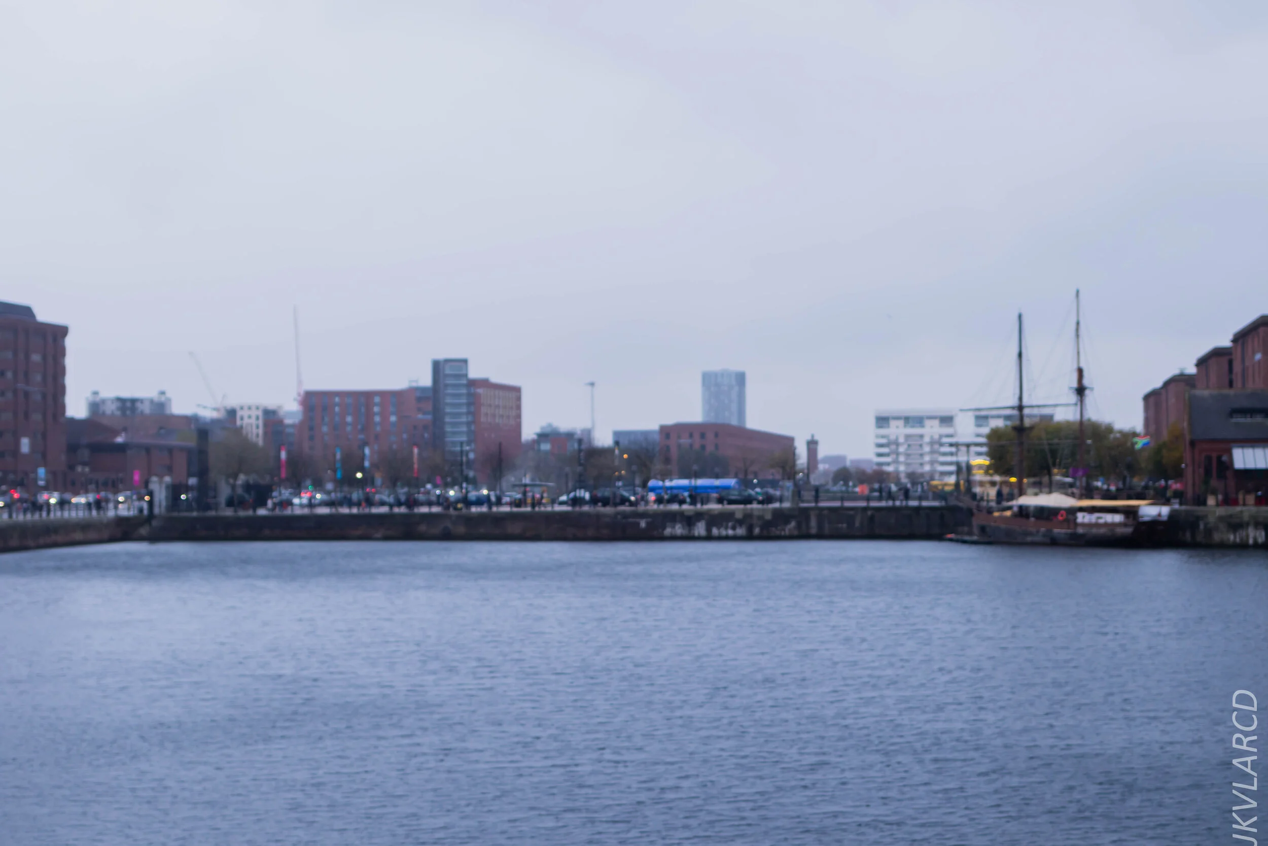 EOS 7D Mark II_2019_11_09_7779.jpg