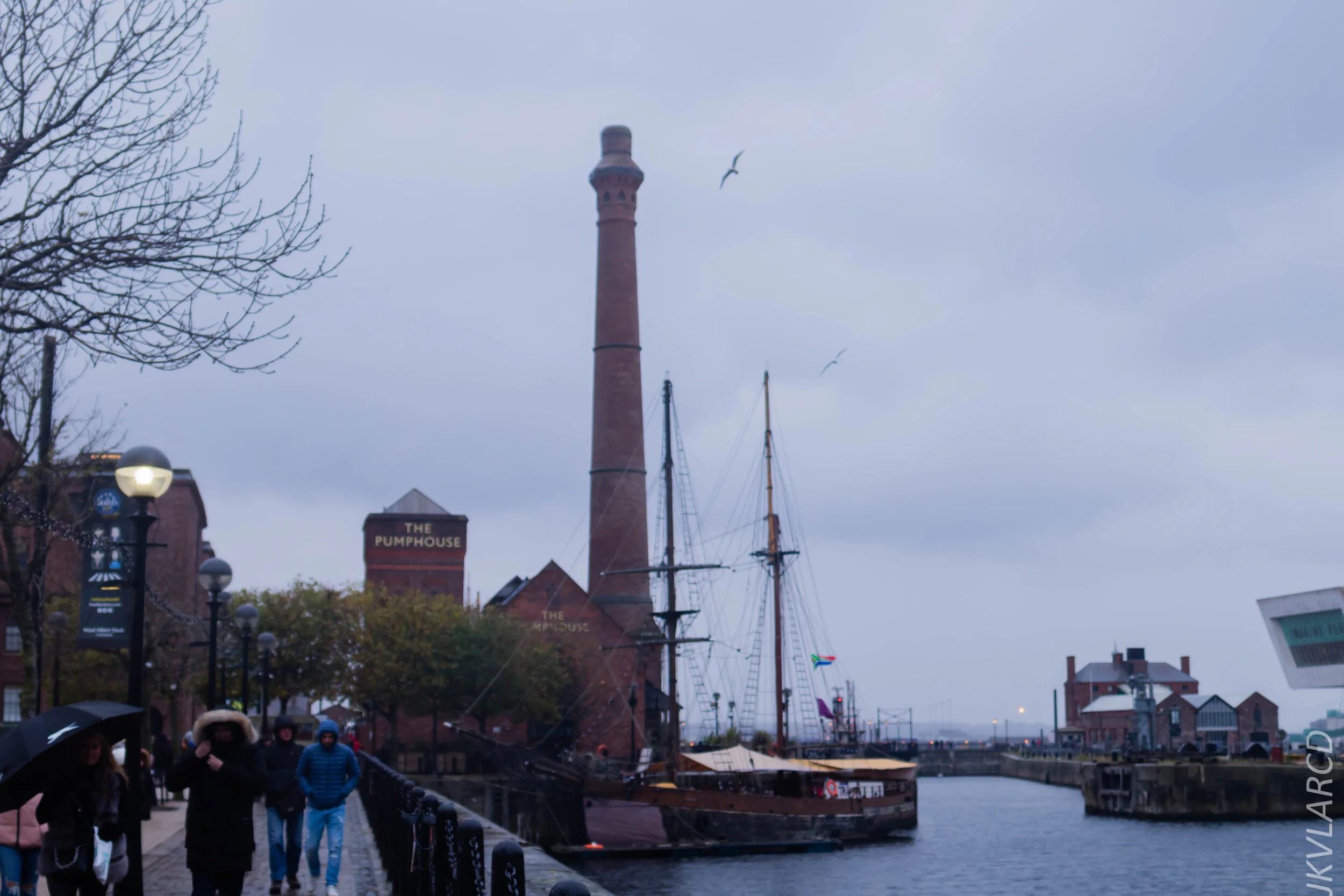 EOS 7D Mark II_2019_11_09_7781.jpg