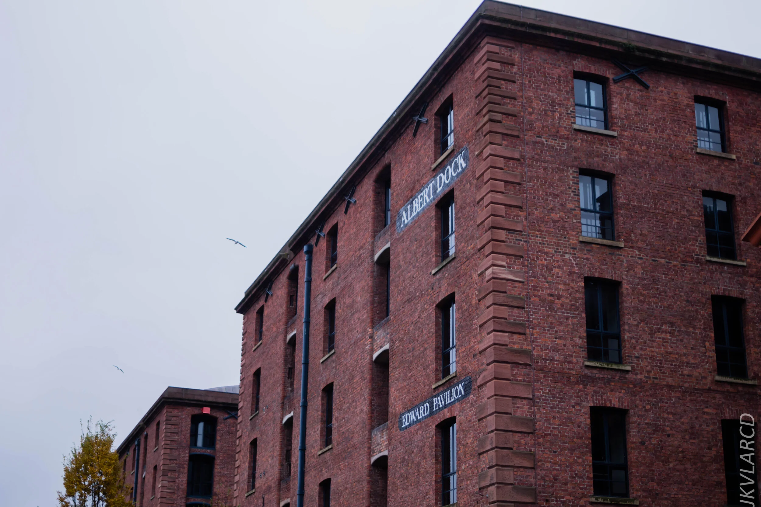 EOS 7D Mark II_2019_11_09_7784.jpg