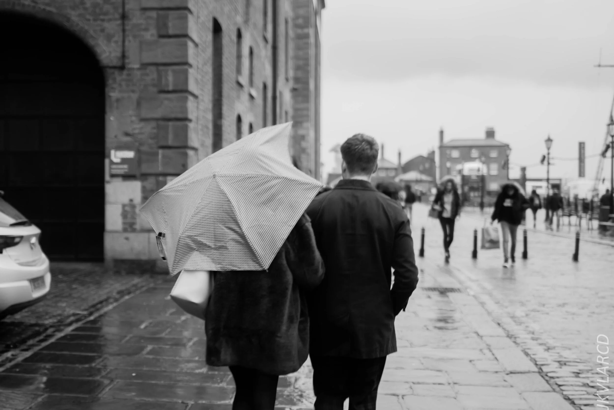 EOS 7D Mark II_2019_11_09_7785.jpg