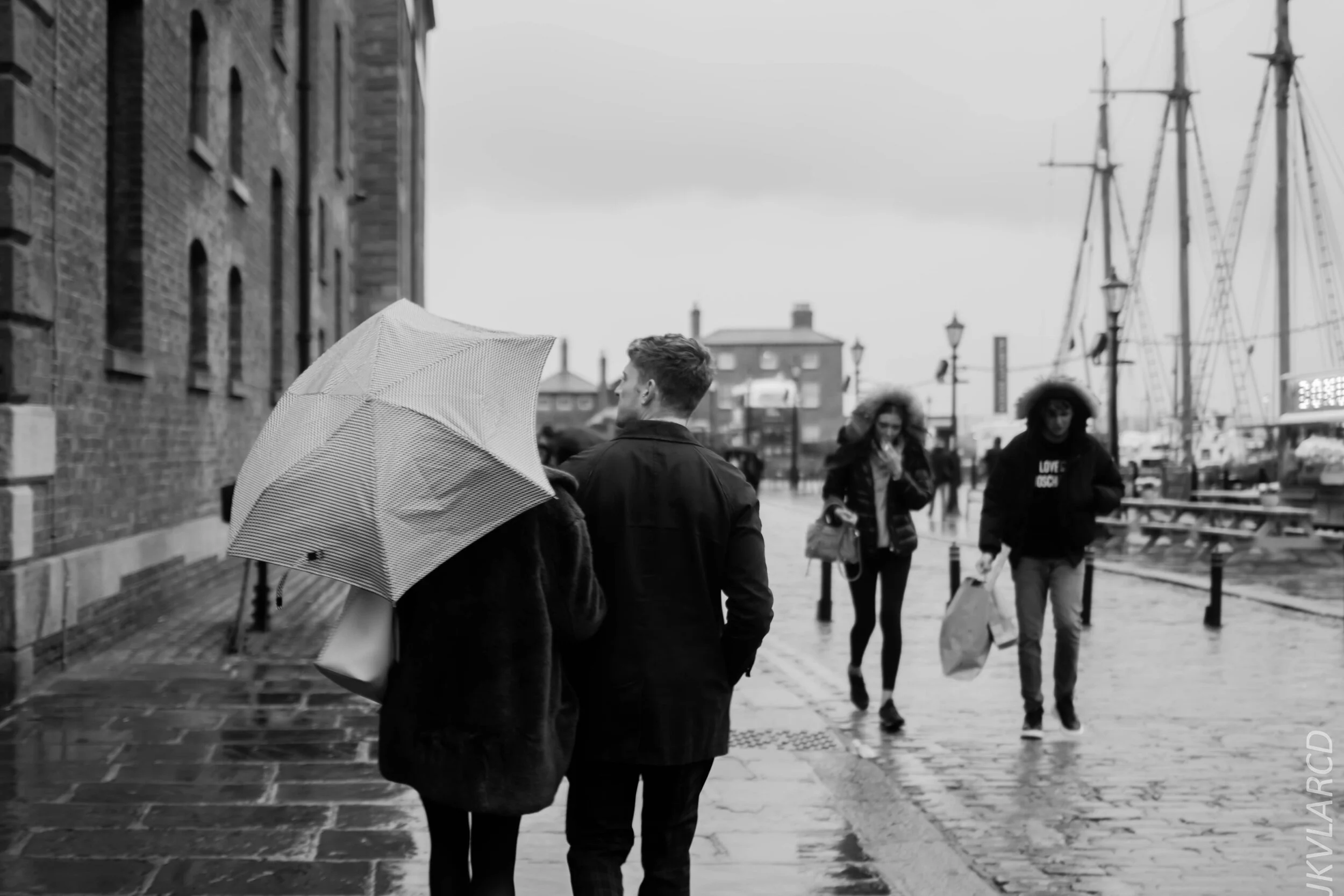 EOS 7D Mark II_2019_11_09_7786.jpg