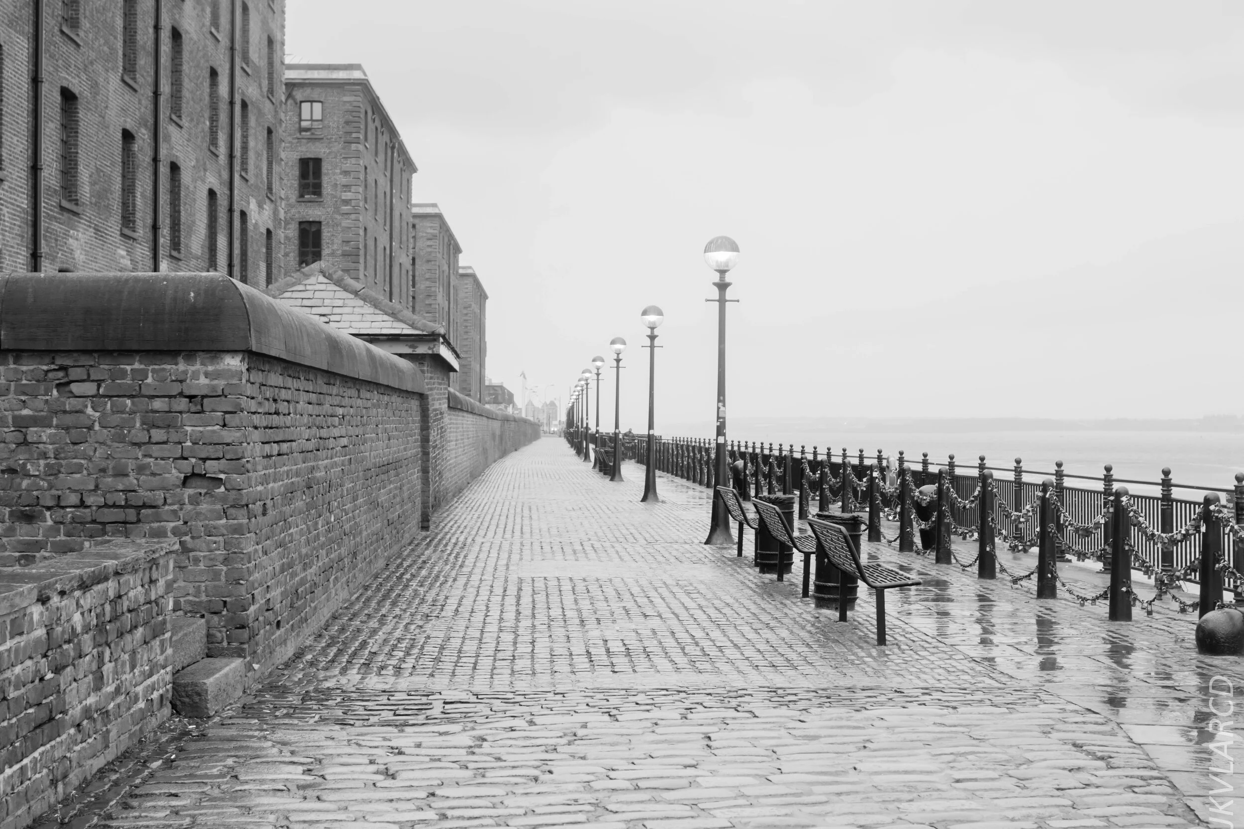 EOS 7D Mark II_2019_11_09_7803.jpg