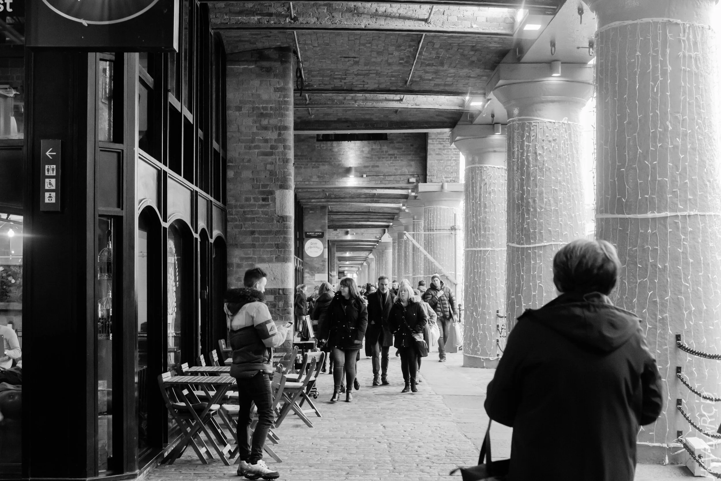 EOS 7D Mark II_2019_11_09_7810.jpg