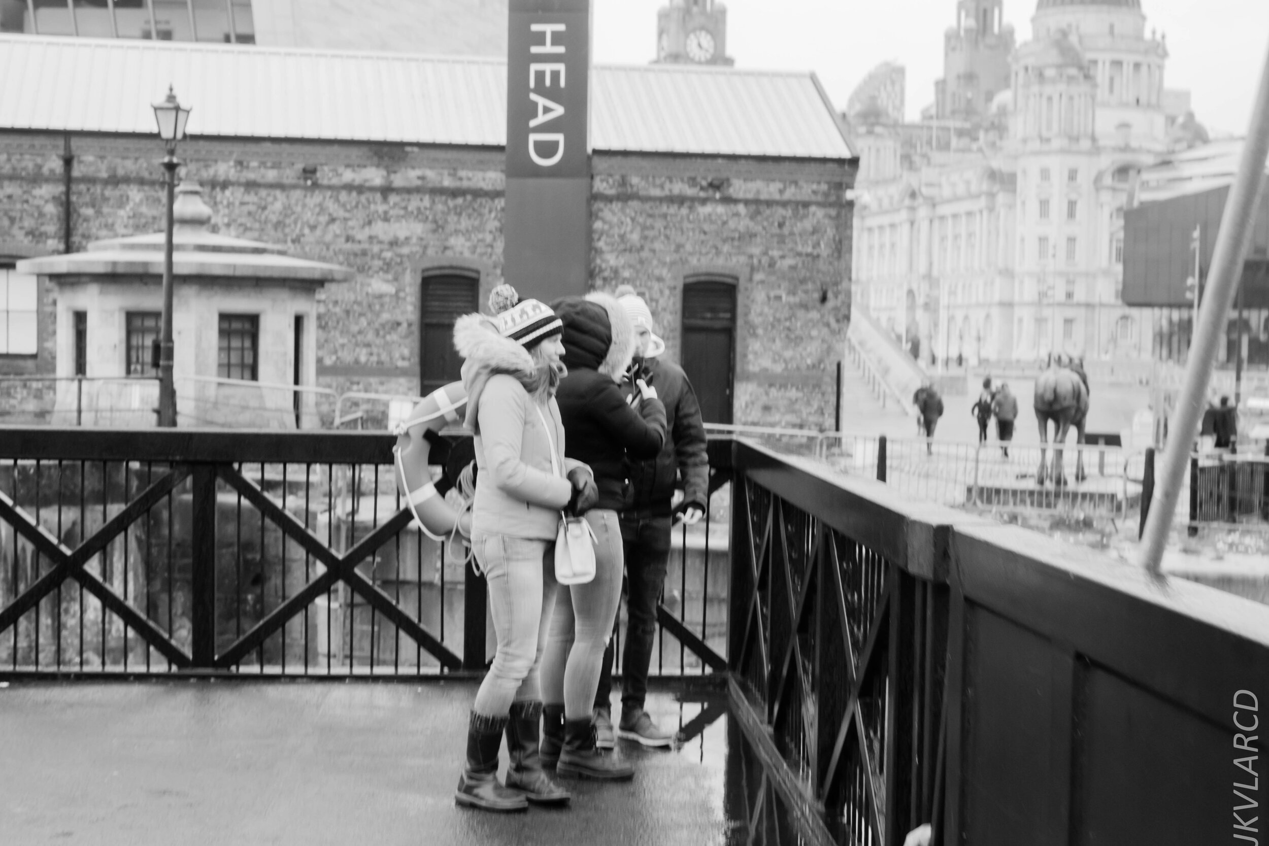 EOS 7D Mark II_2019_11_09_7817.jpg