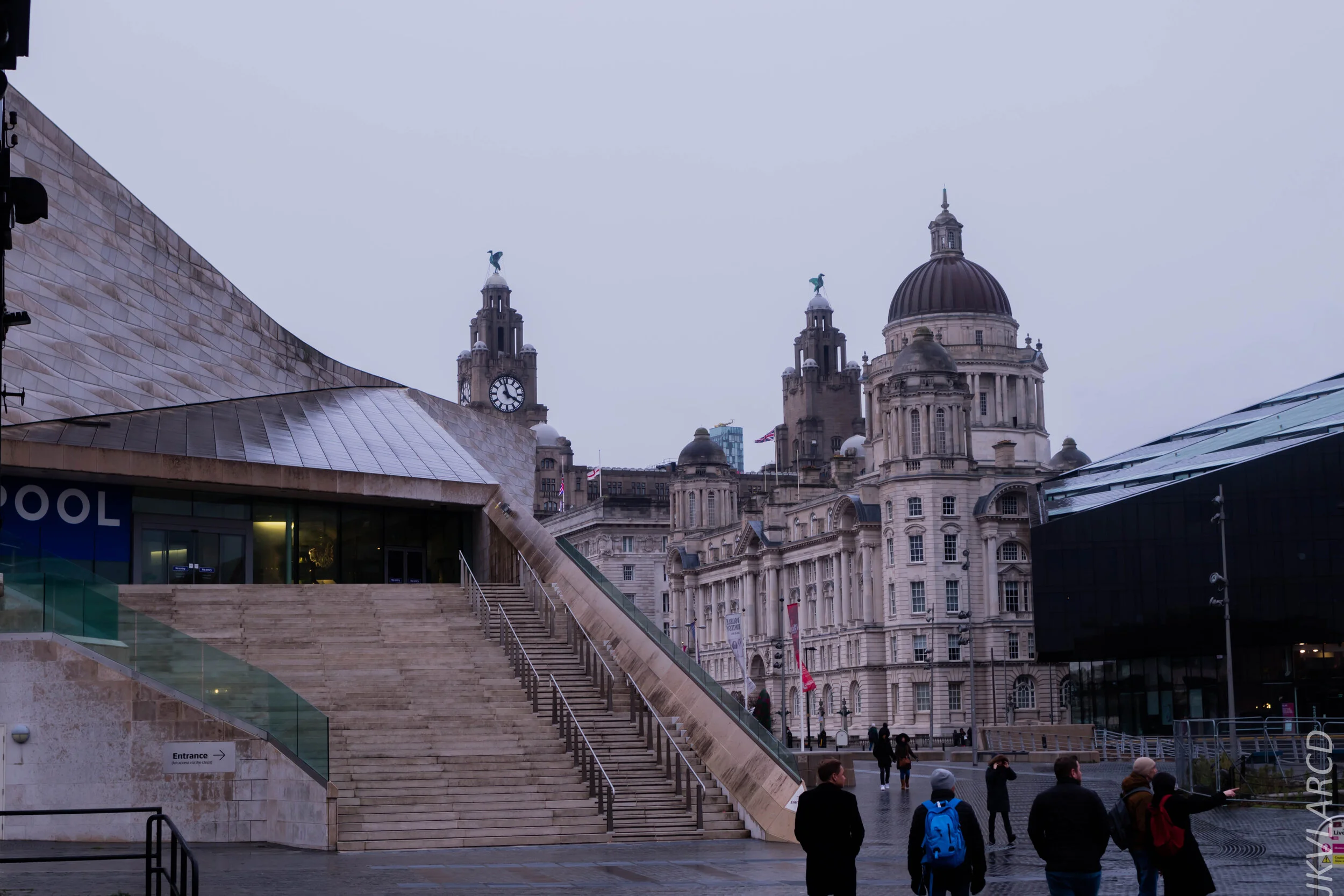 EOS 7D Mark II_2019_11_09_7820.jpg