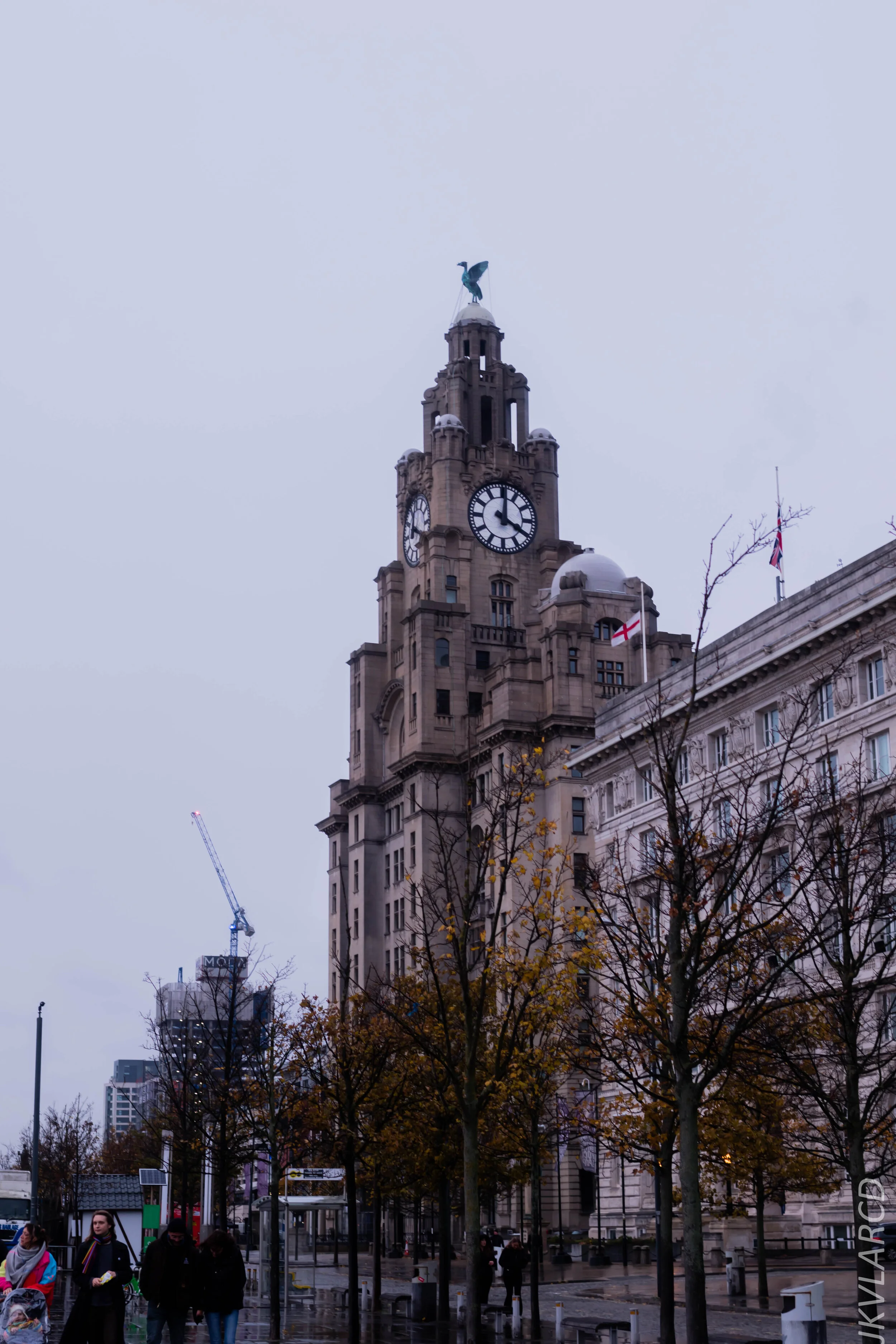 EOS 7D Mark II_2019_11_09_7823.jpg