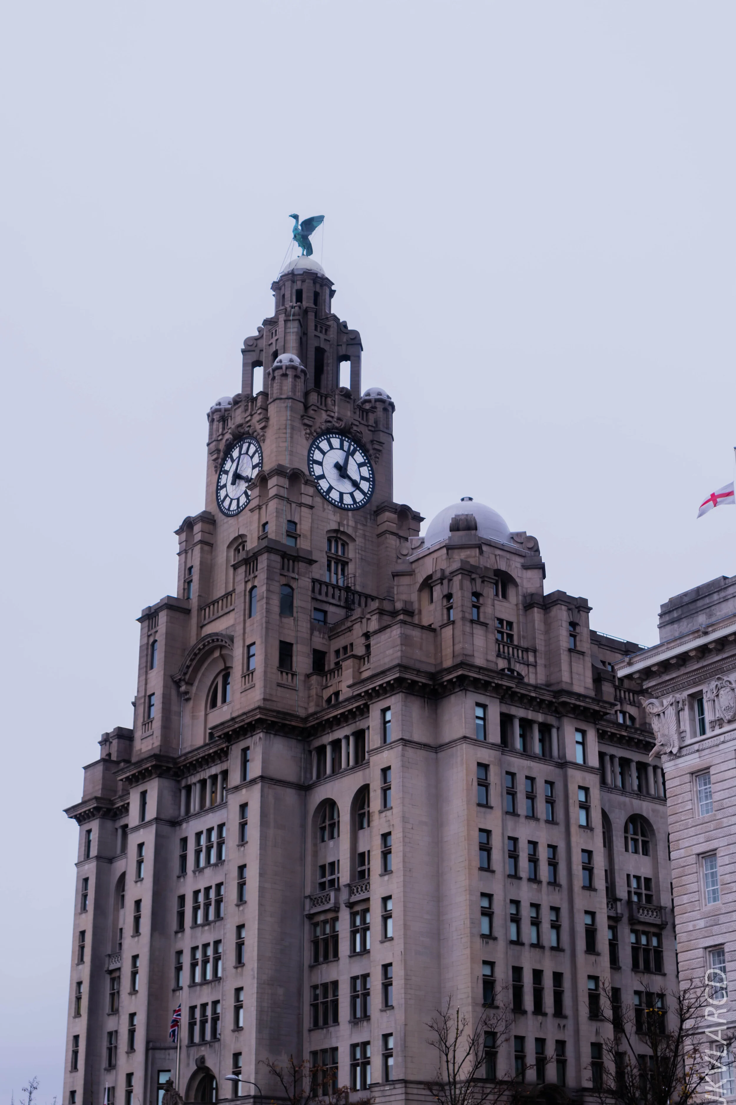 EOS 7D Mark II_2019_11_09_7828.jpg