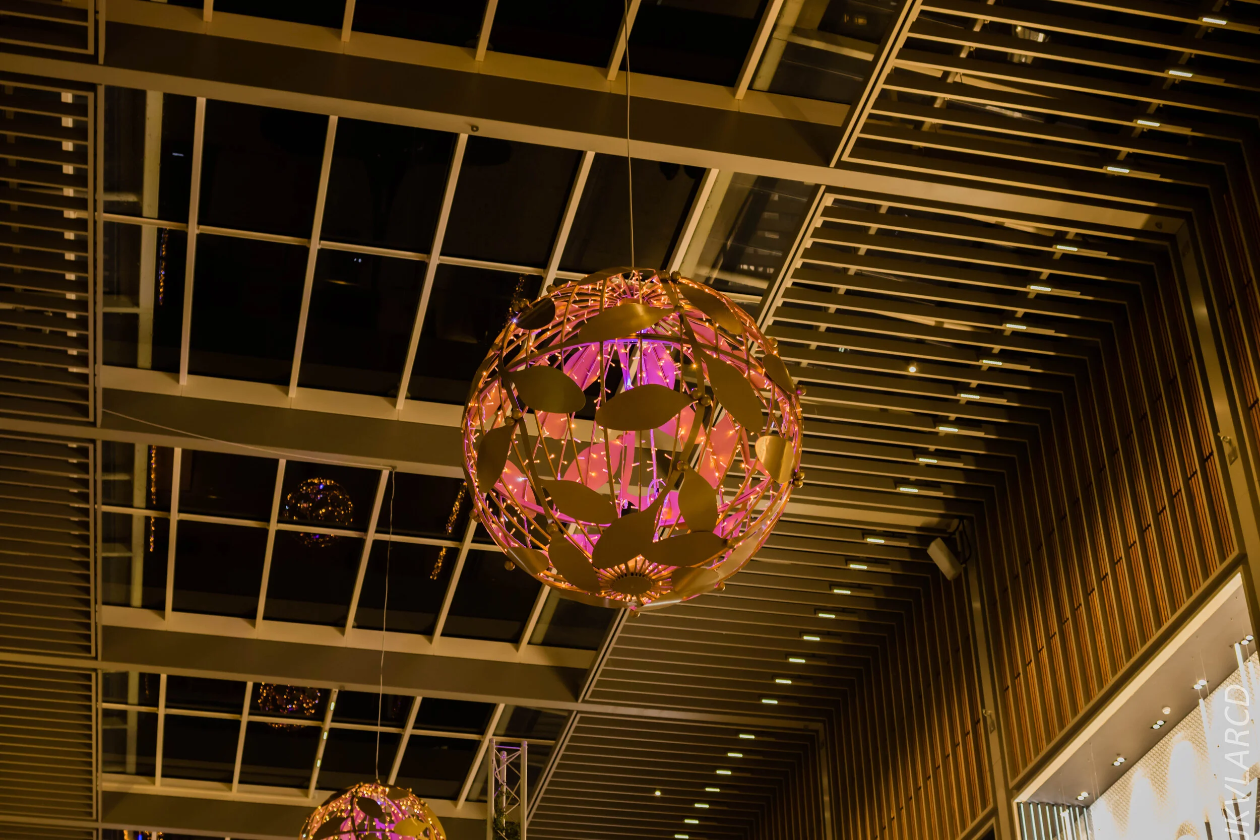 EOS 7D Mark II_2019_11_10_7852.jpg