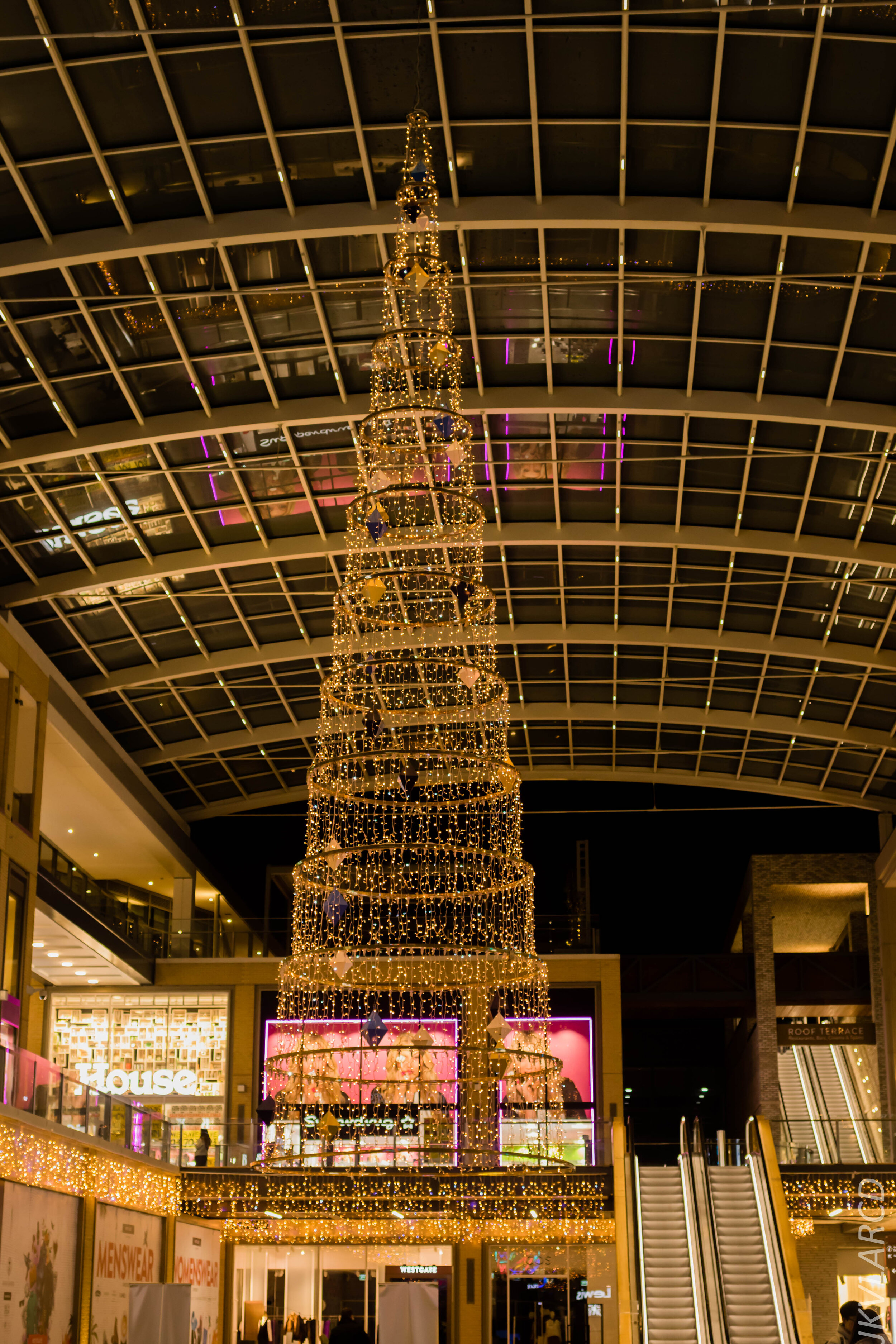 EOS 7D Mark II_2019_11_10_7859.jpg