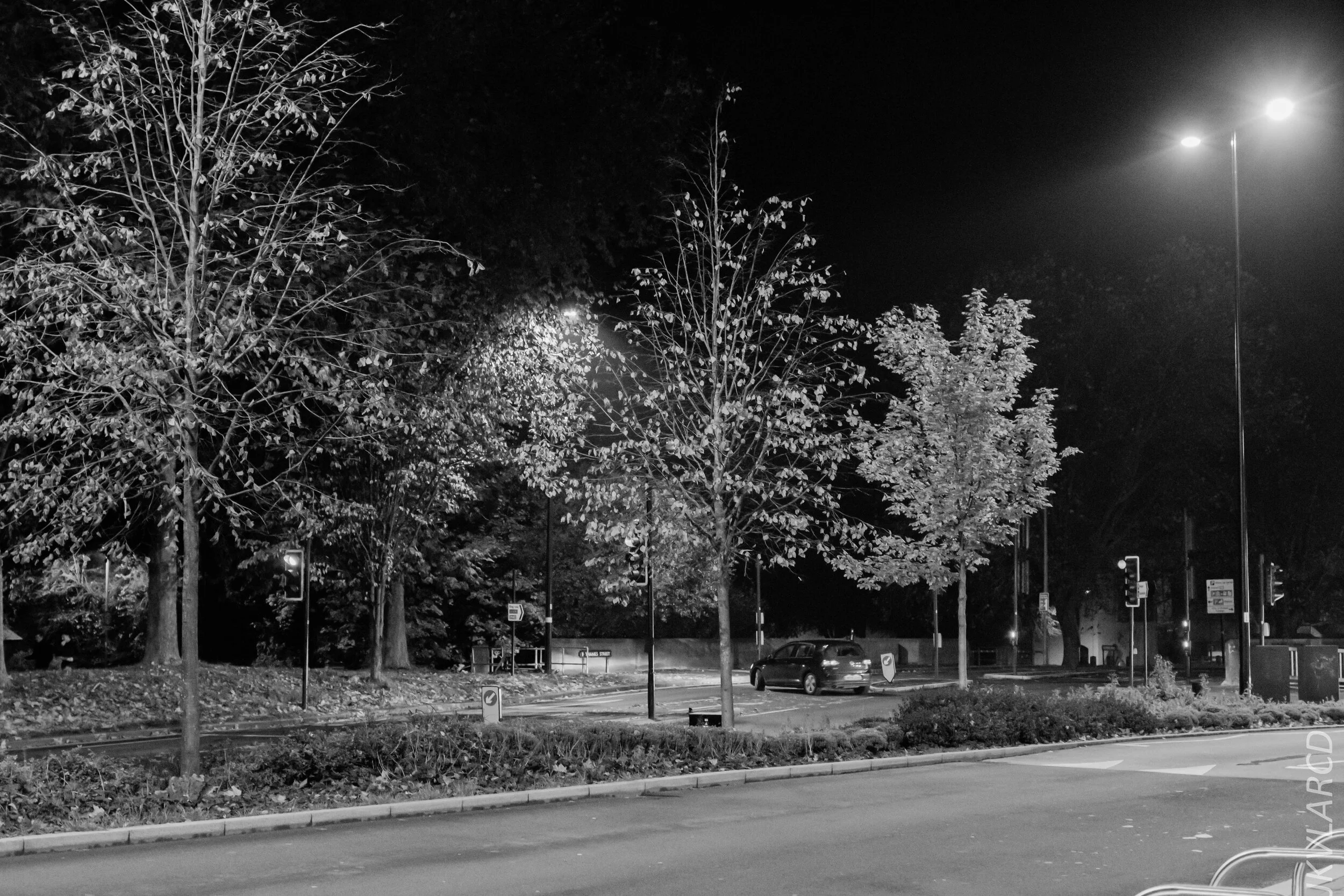 EOS 7D Mark II_2019_11_10_7862.jpg