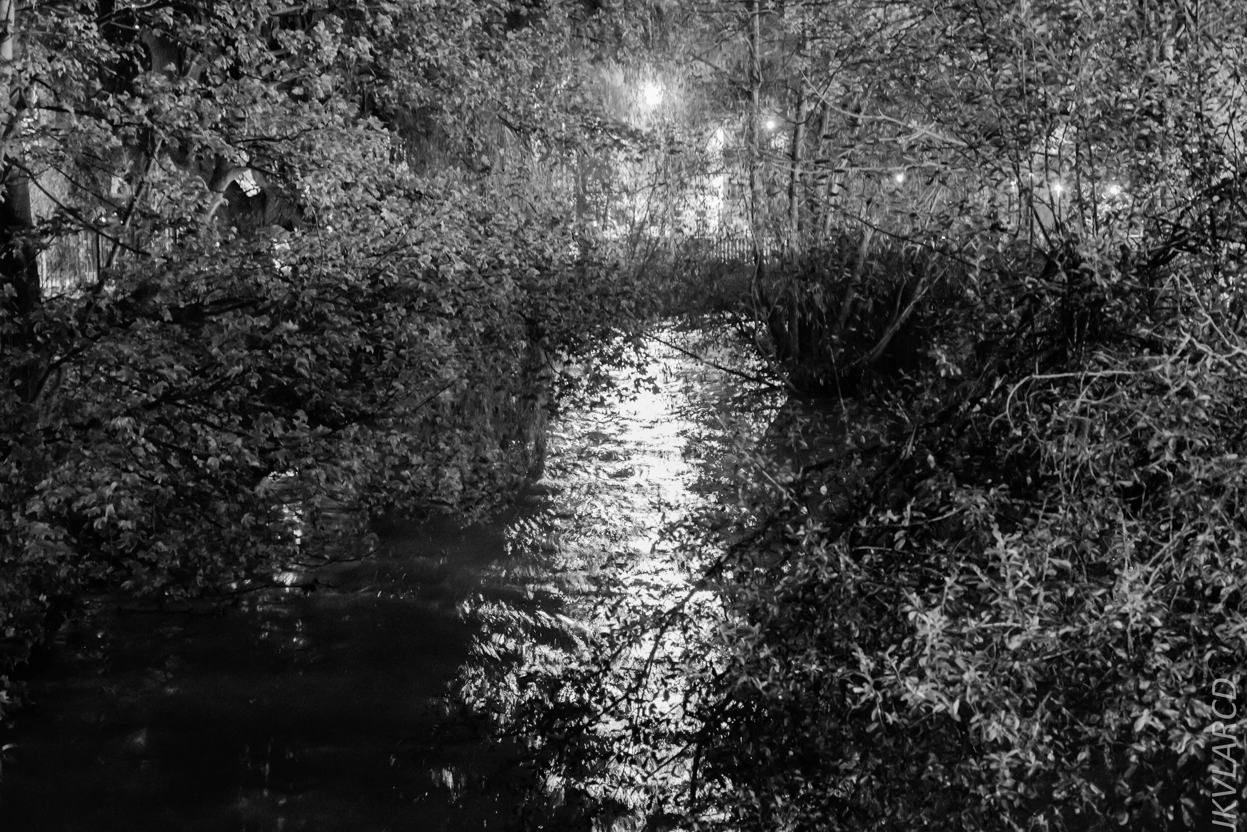 EOS 7D Mark II_2019_11_10_7866.jpg