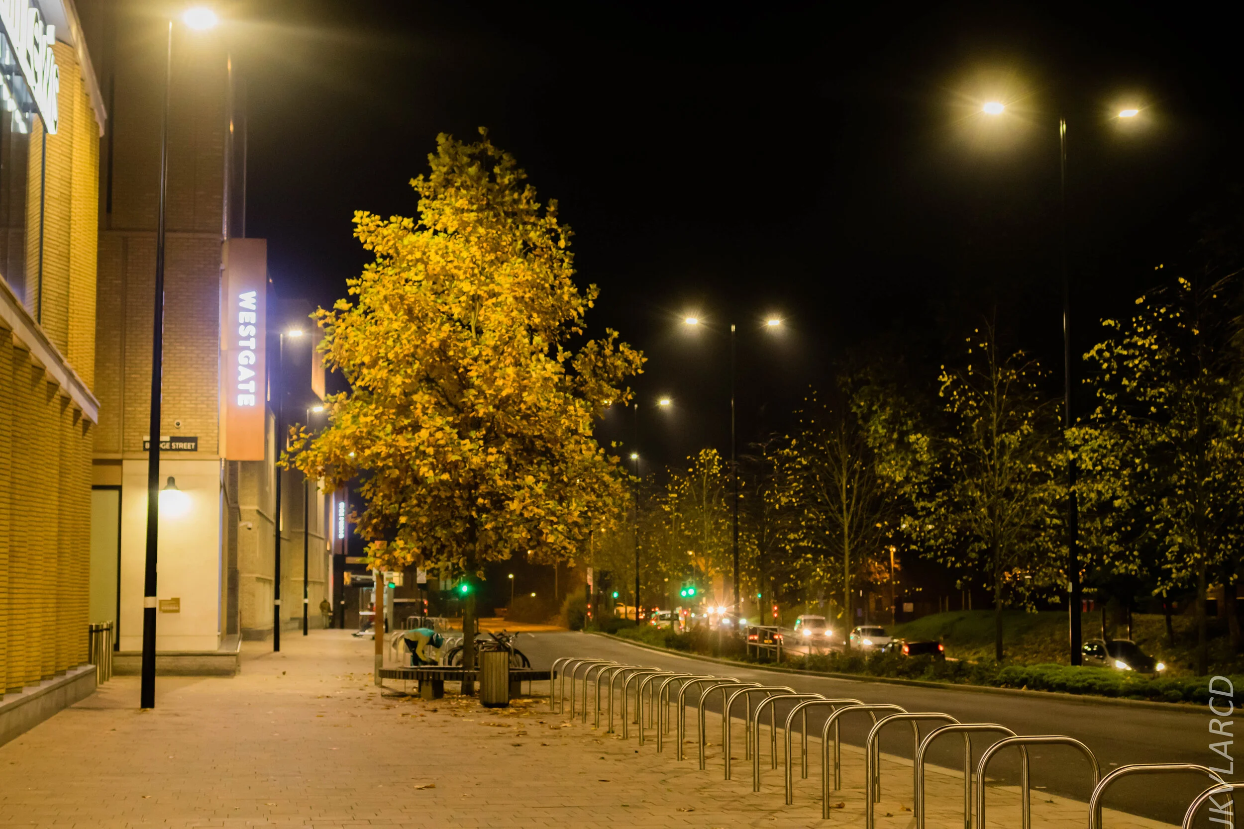 EOS 7D Mark II_2019_11_10_7869.jpg