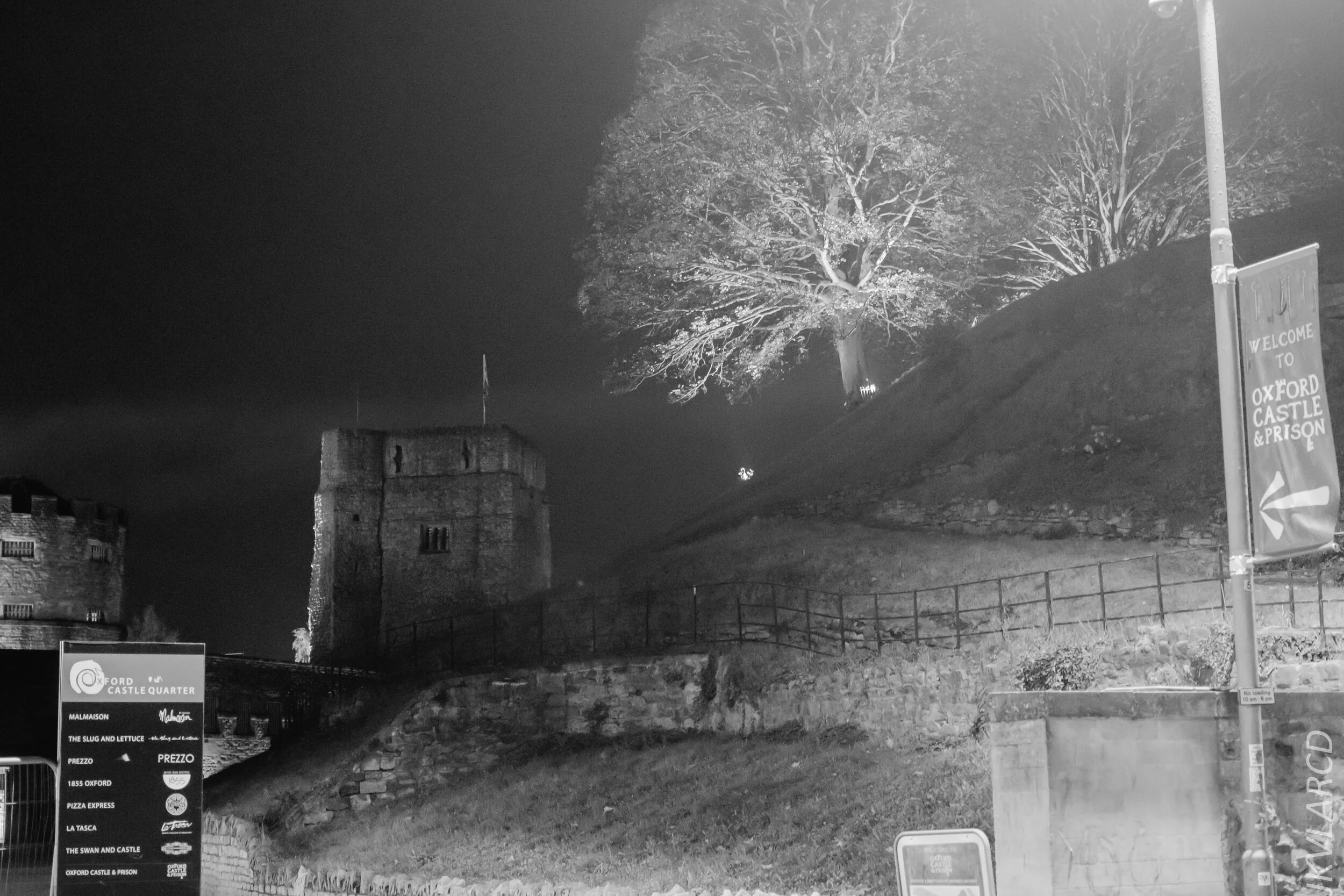 EOS 7D Mark II_2019_11_10_7886.jpg