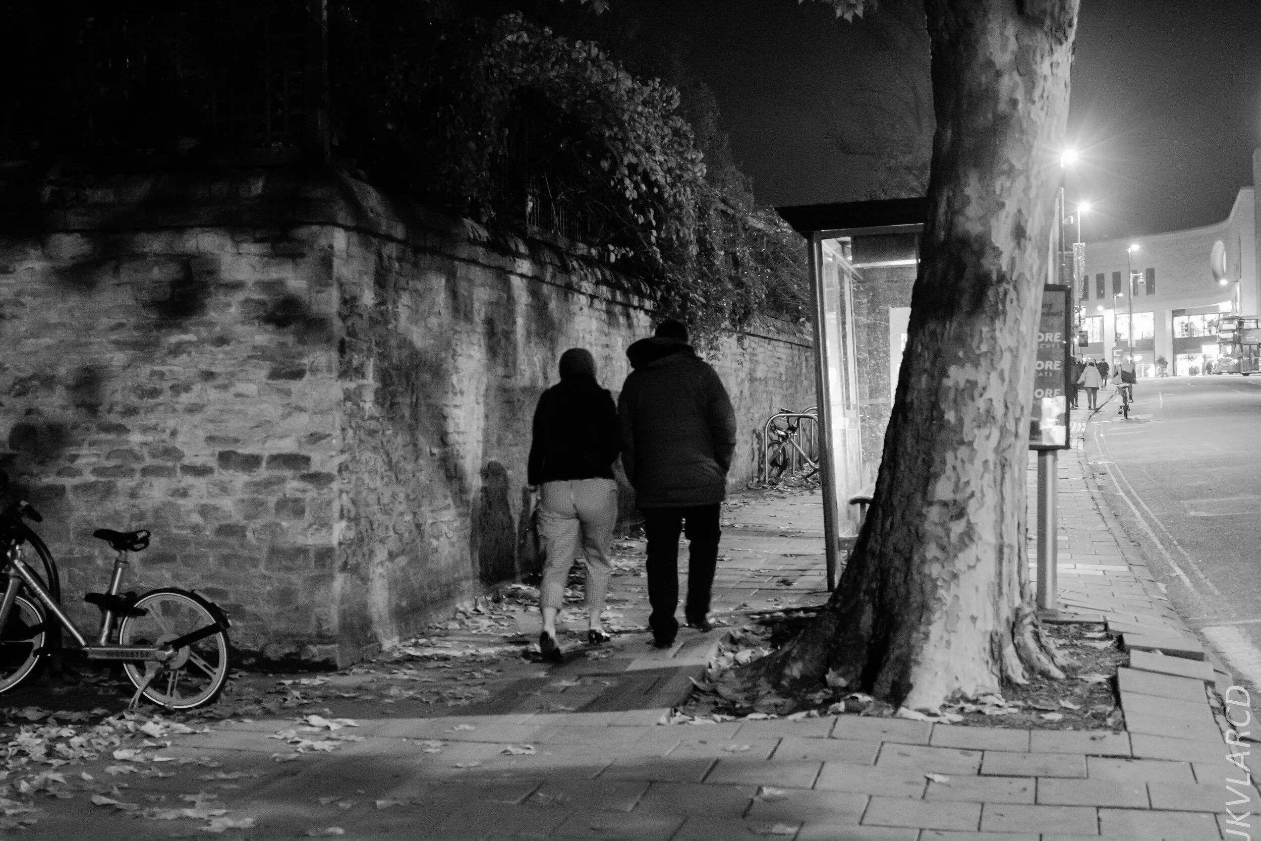 EOS 7D Mark II_2019_11_10_7887.jpg