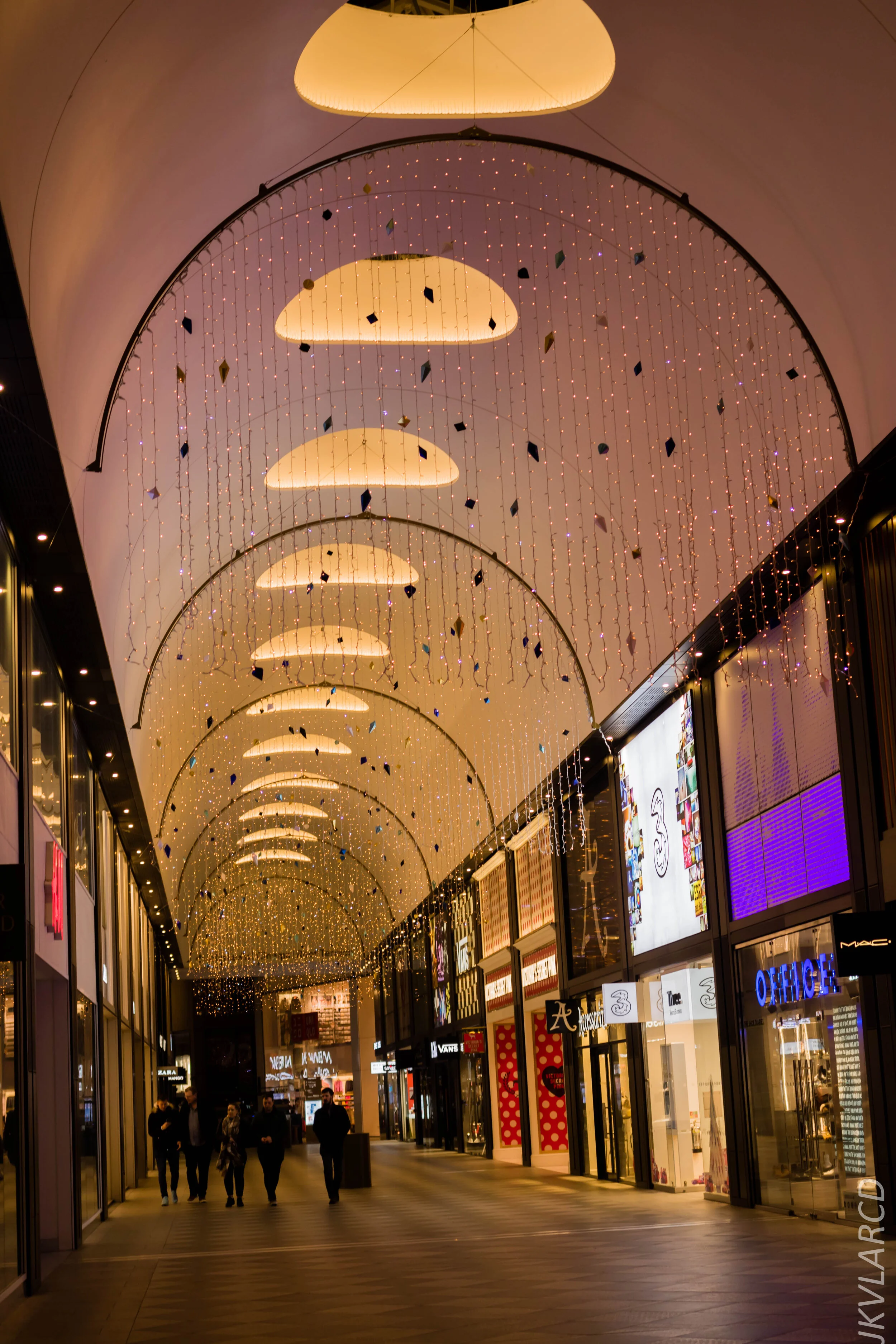 EOS 7D Mark II_2019_11_10_7916.jpg