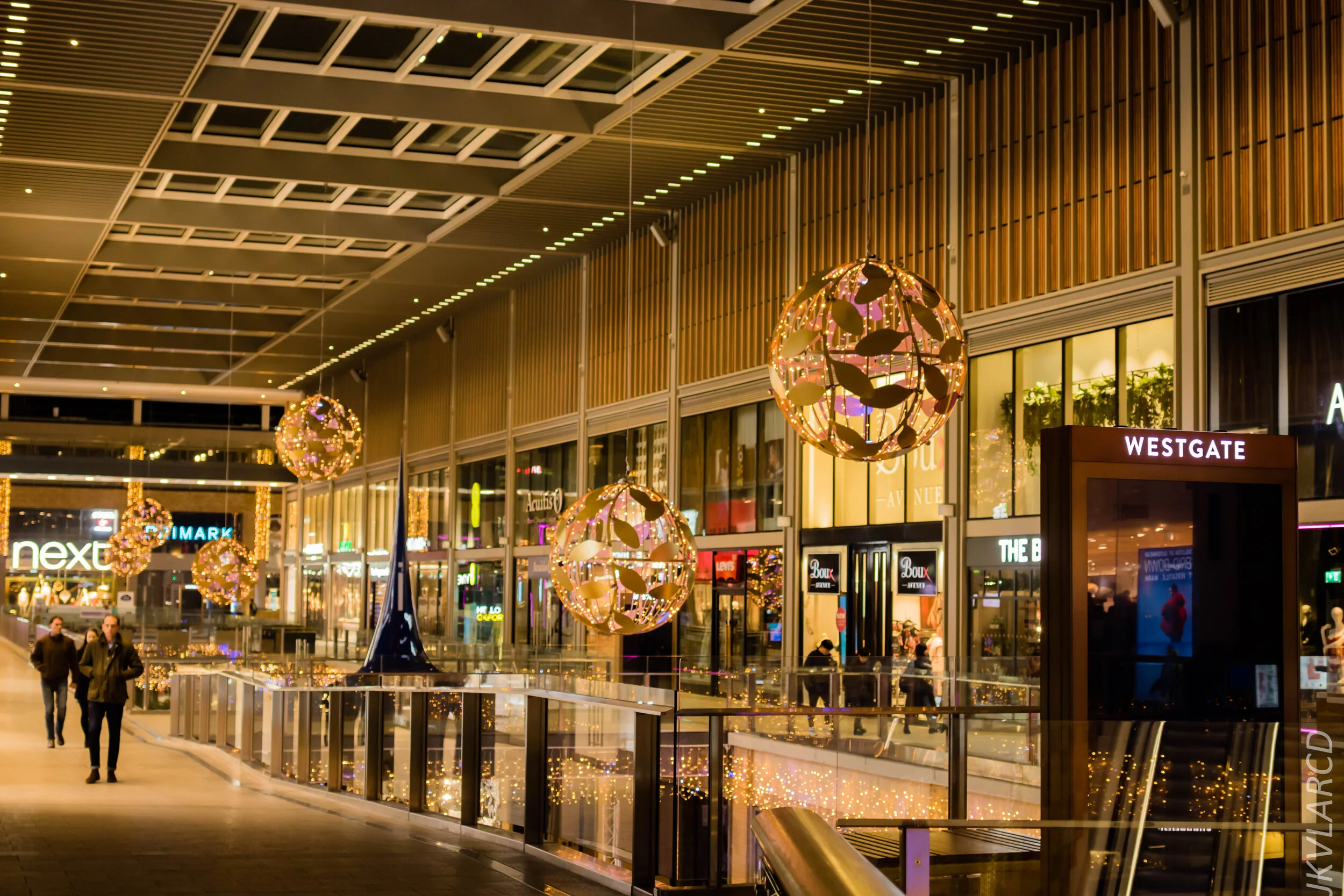 EOS 7D Mark II_2019_11_10_7917.jpg