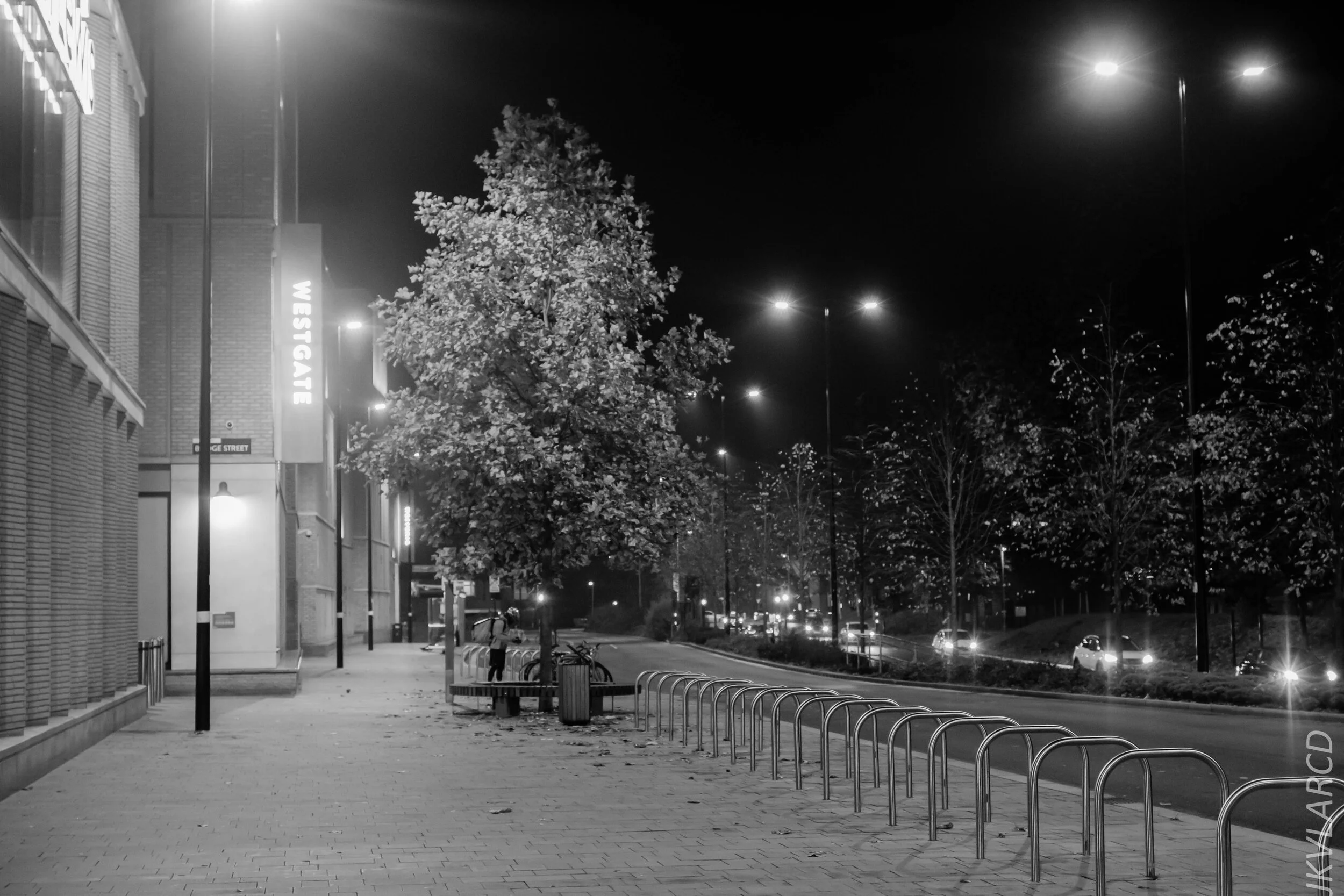 EOS 7D Mark II_2019_11_10_7872.jpg