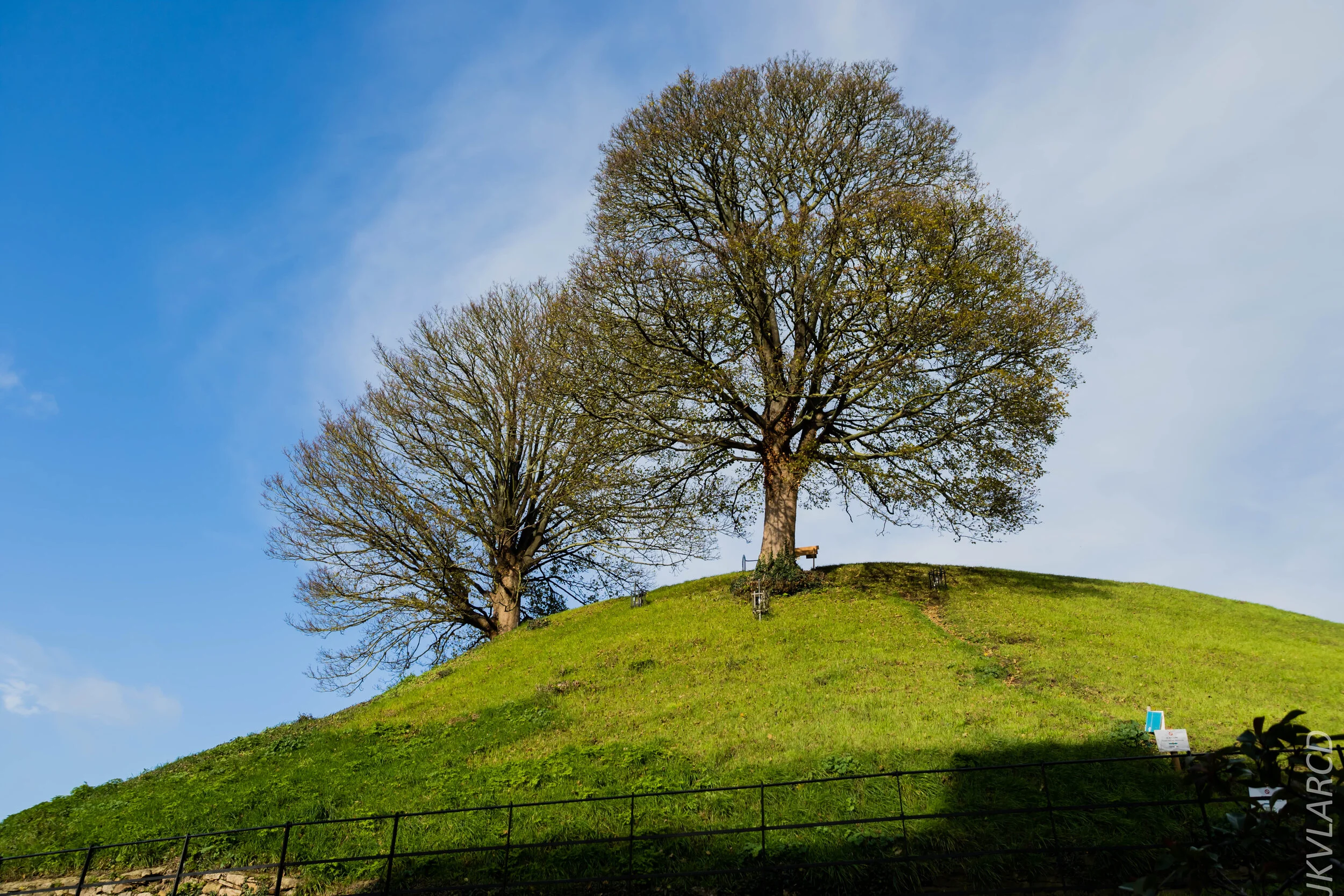 EOS 7D Mark II_2019_11_11_7922.jpg
