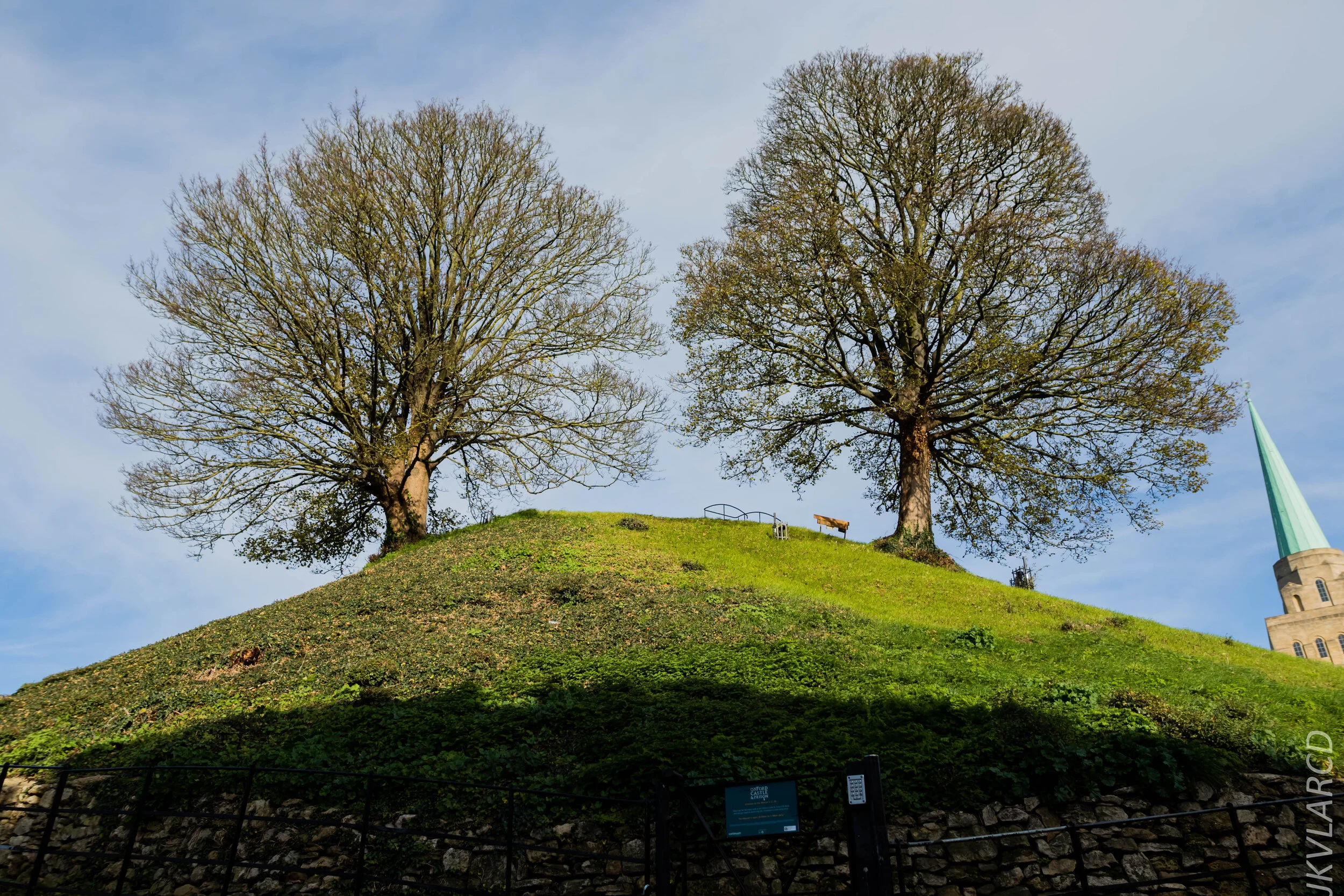 EOS 7D Mark II_2019_11_11_7923.jpg