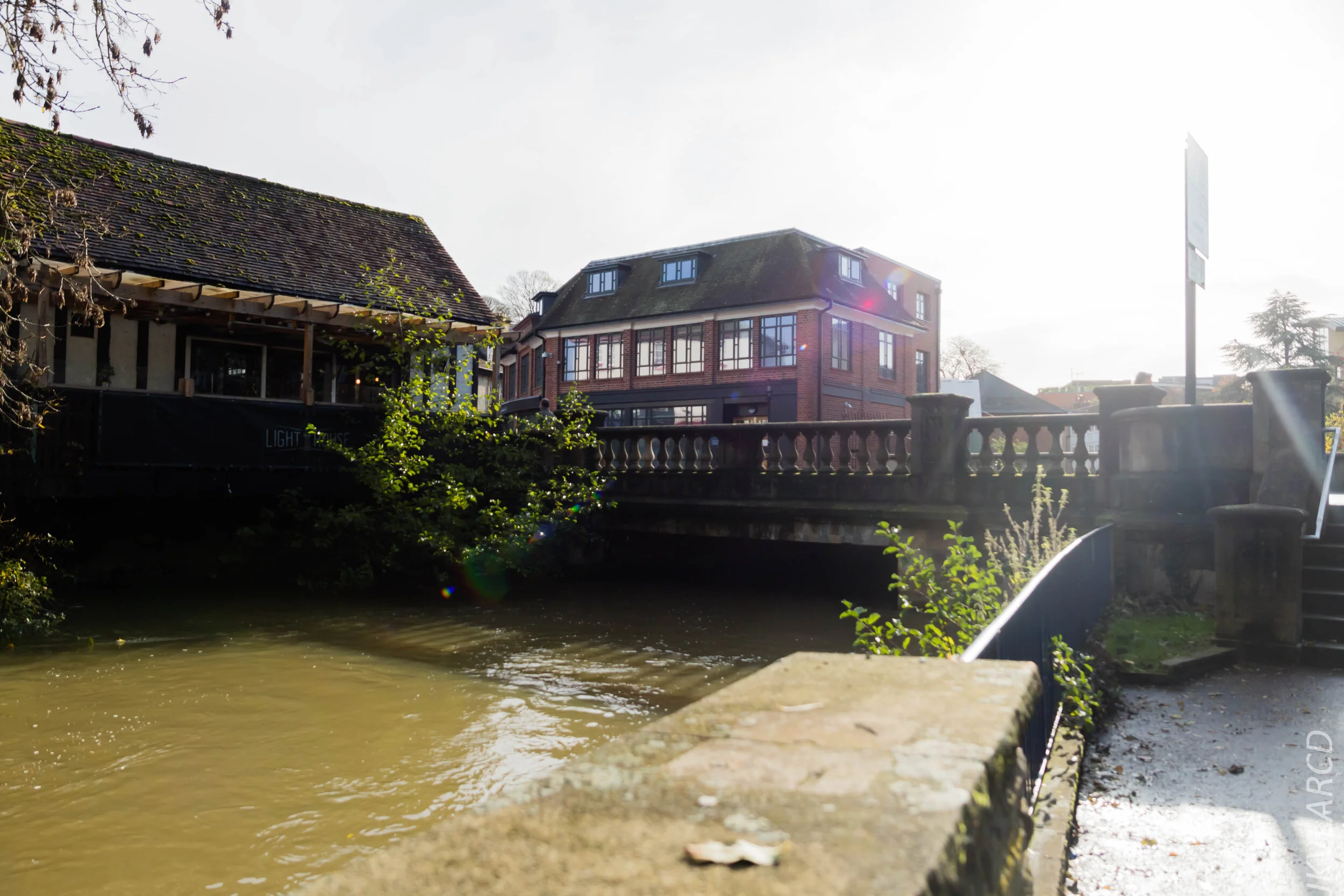 EOS 7D Mark II_2019_11_11_7928.jpg