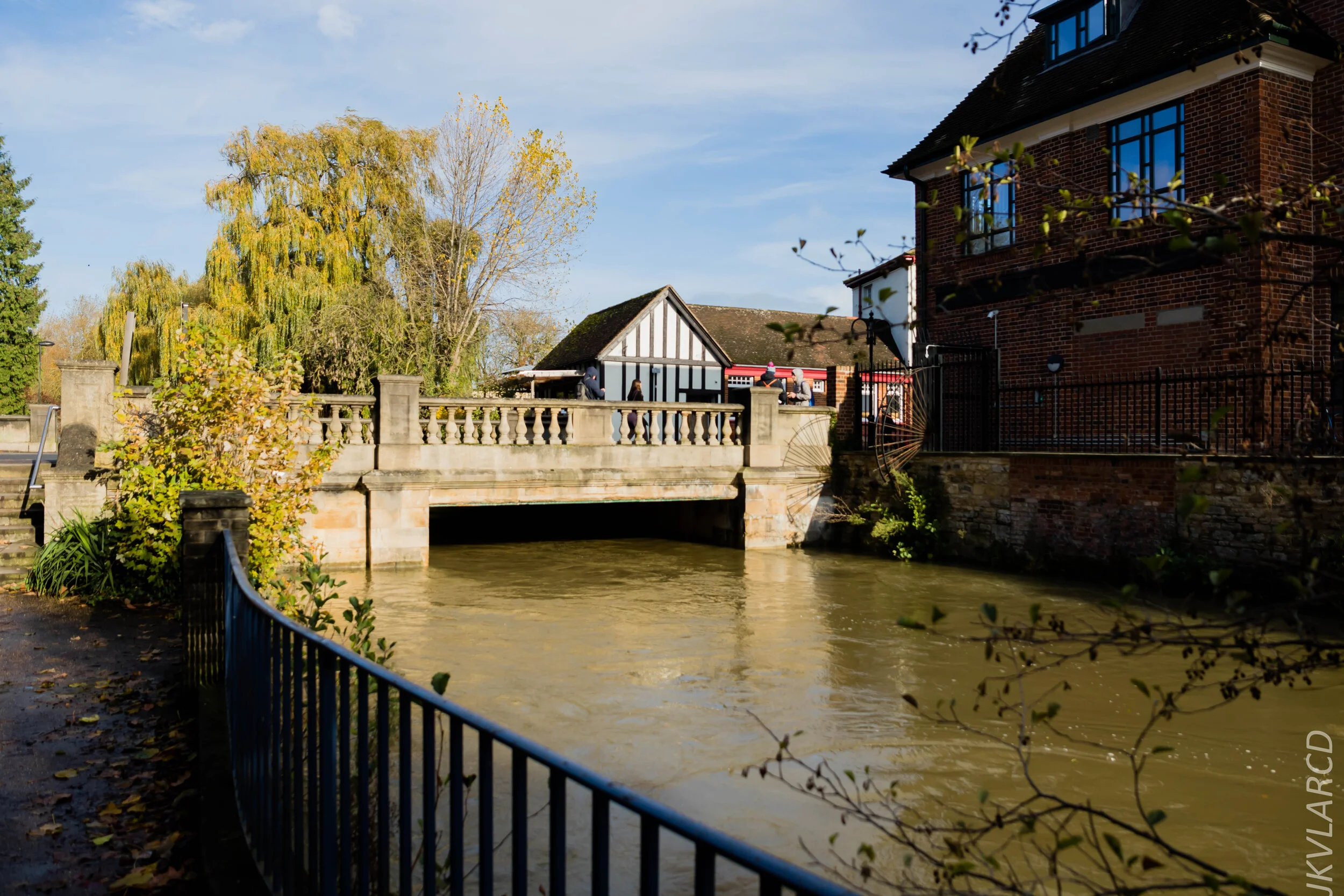 EOS 7D Mark II_2019_11_11_7930.jpg