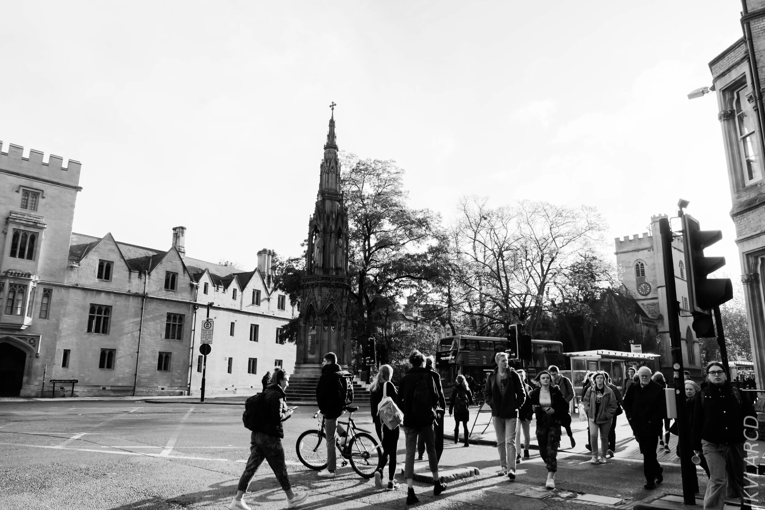 EOS 7D Mark II_2019_11_11_7940.jpg