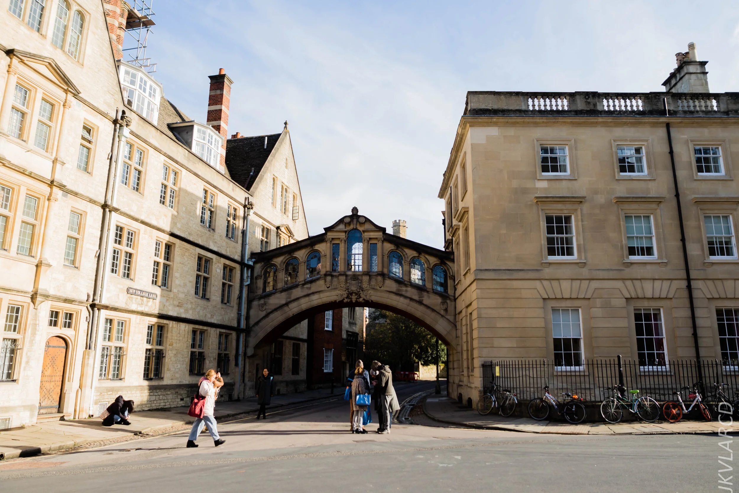 EOS 7D Mark II_2019_11_11_7951.jpg