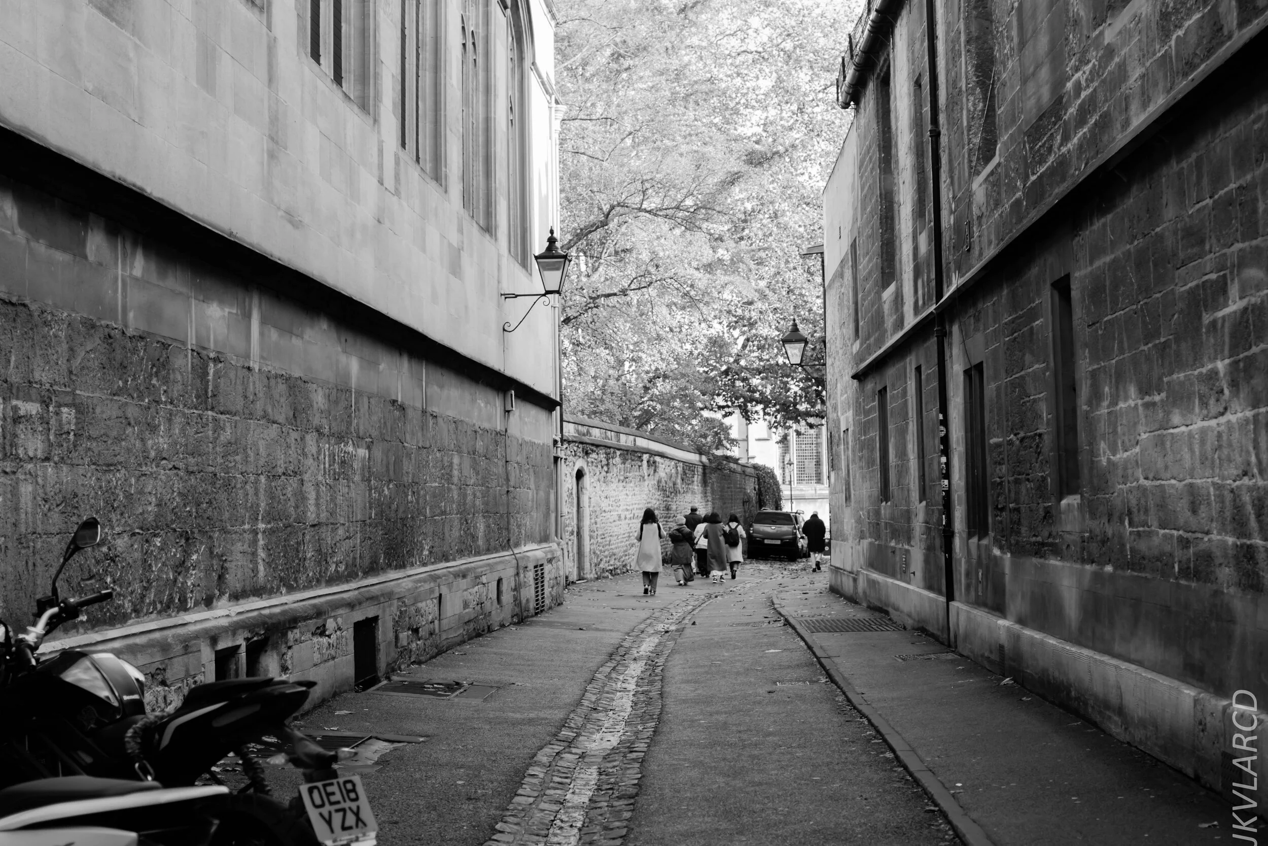 EOS 7D Mark II_2019_11_11_7968.jpg