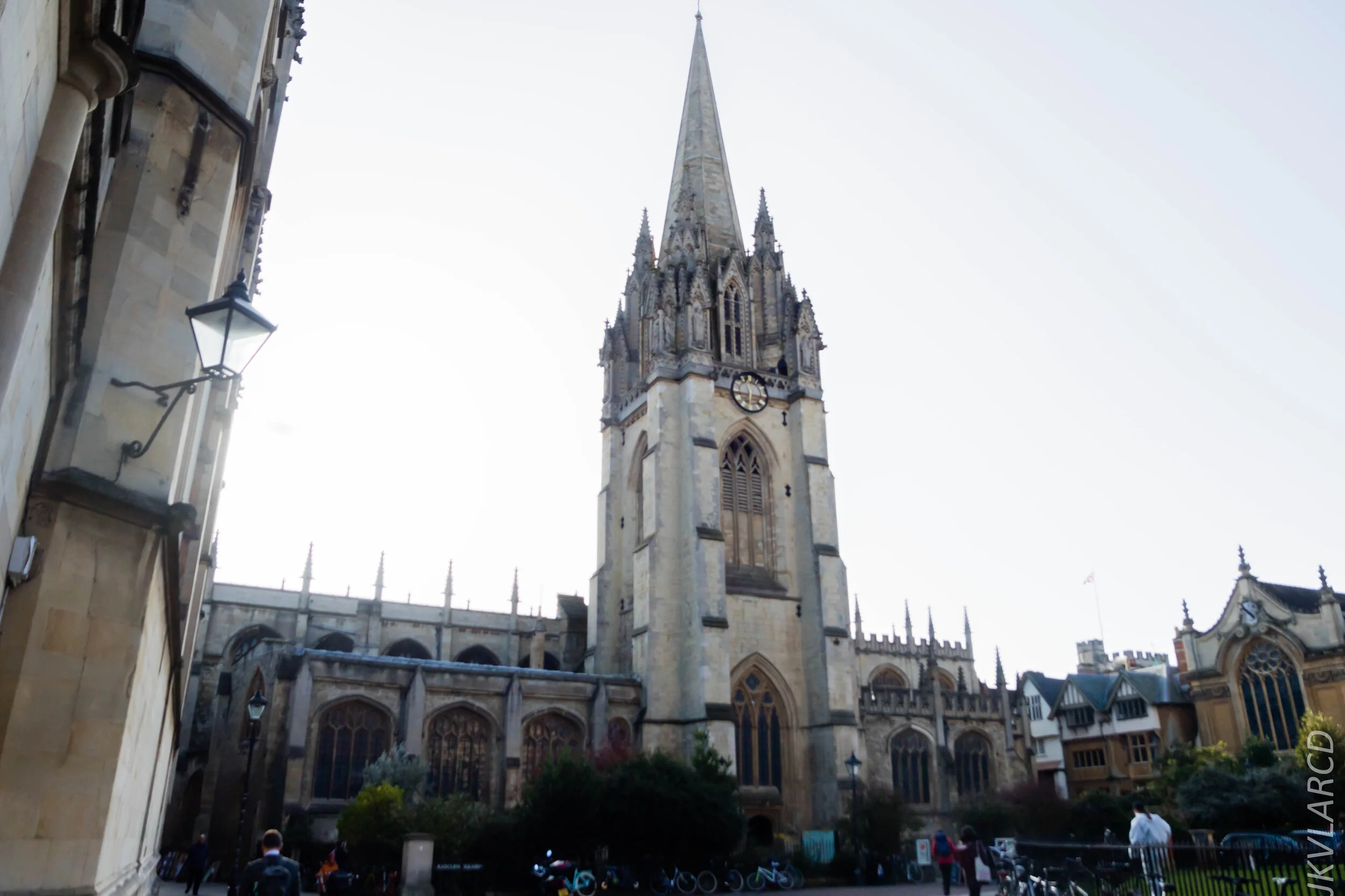 EOS 7D Mark II_2019_11_11_7977.jpg