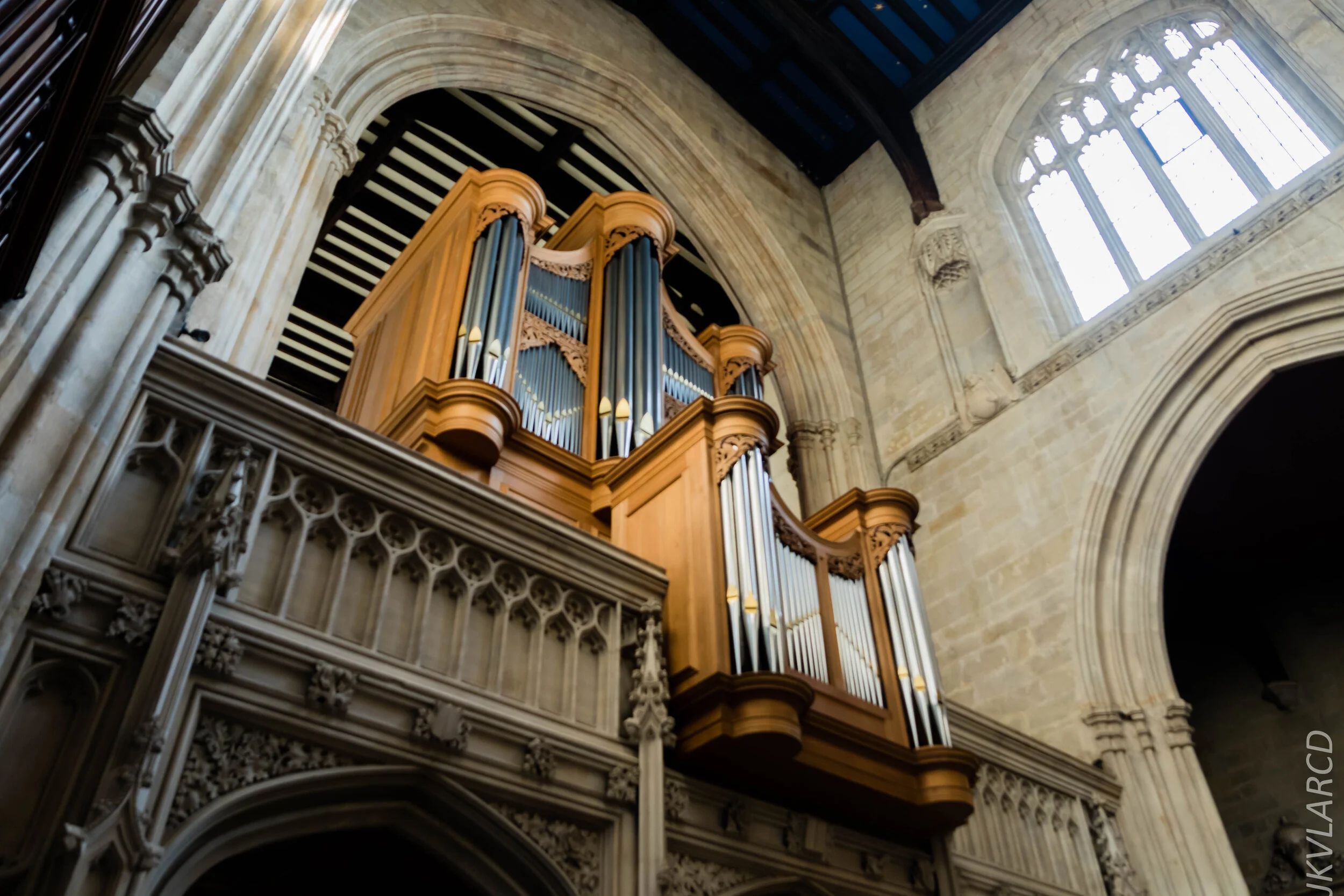 EOS 7D Mark II_2019_11_11_7979.jpg