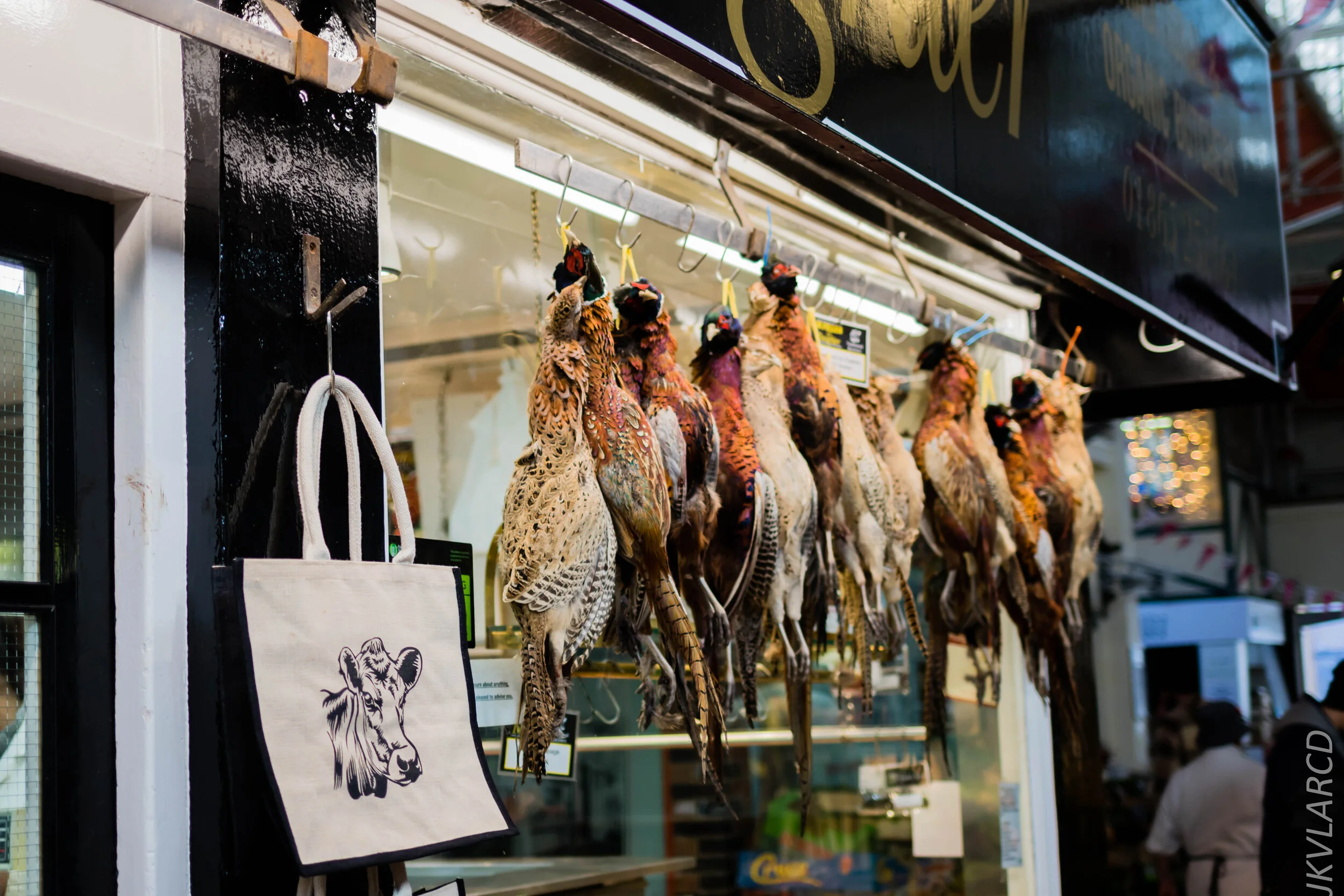 EOS 7D Mark II_2019_11_11_7991.jpg