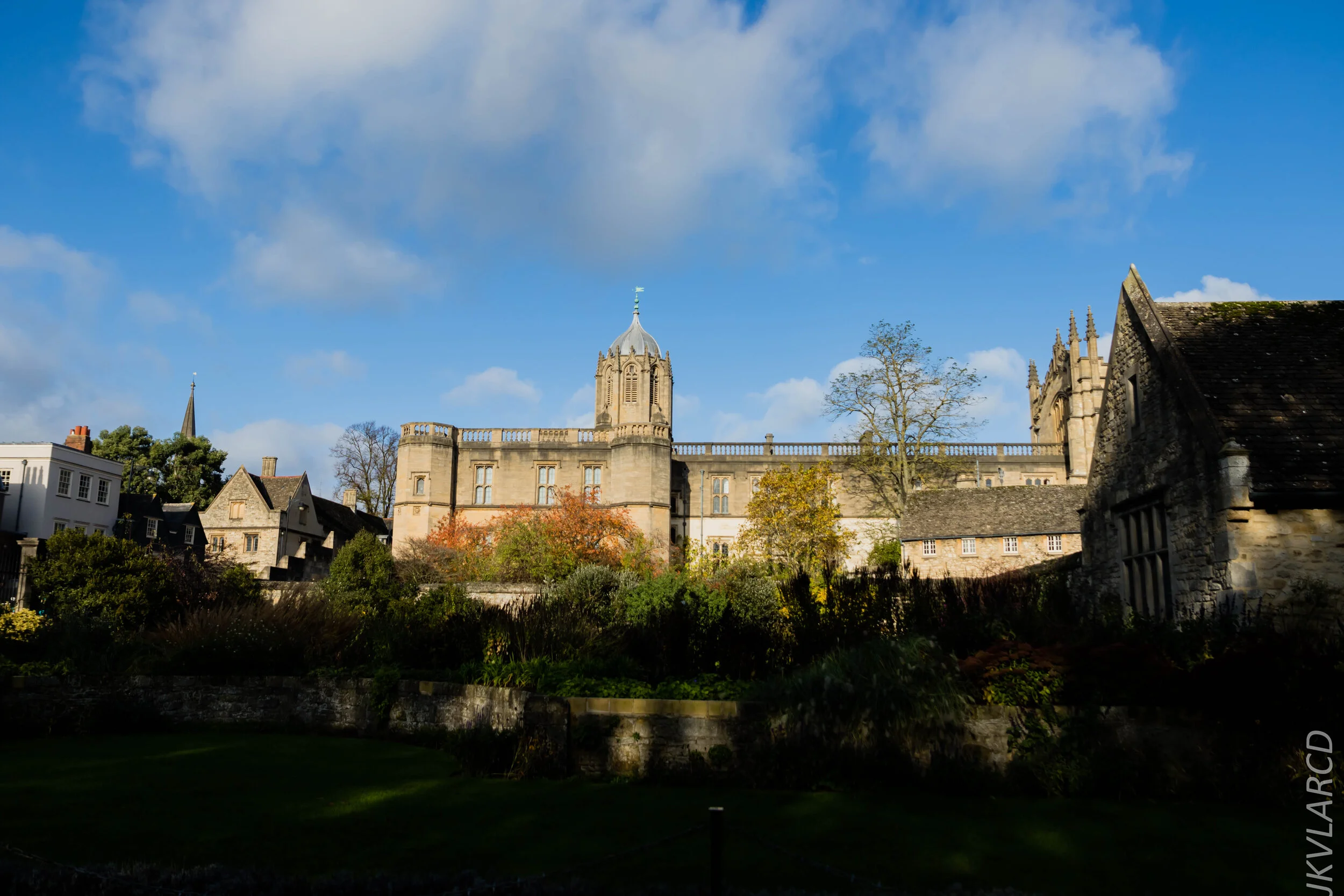 EOS 7D Mark II_2019_11_11_8000.jpg