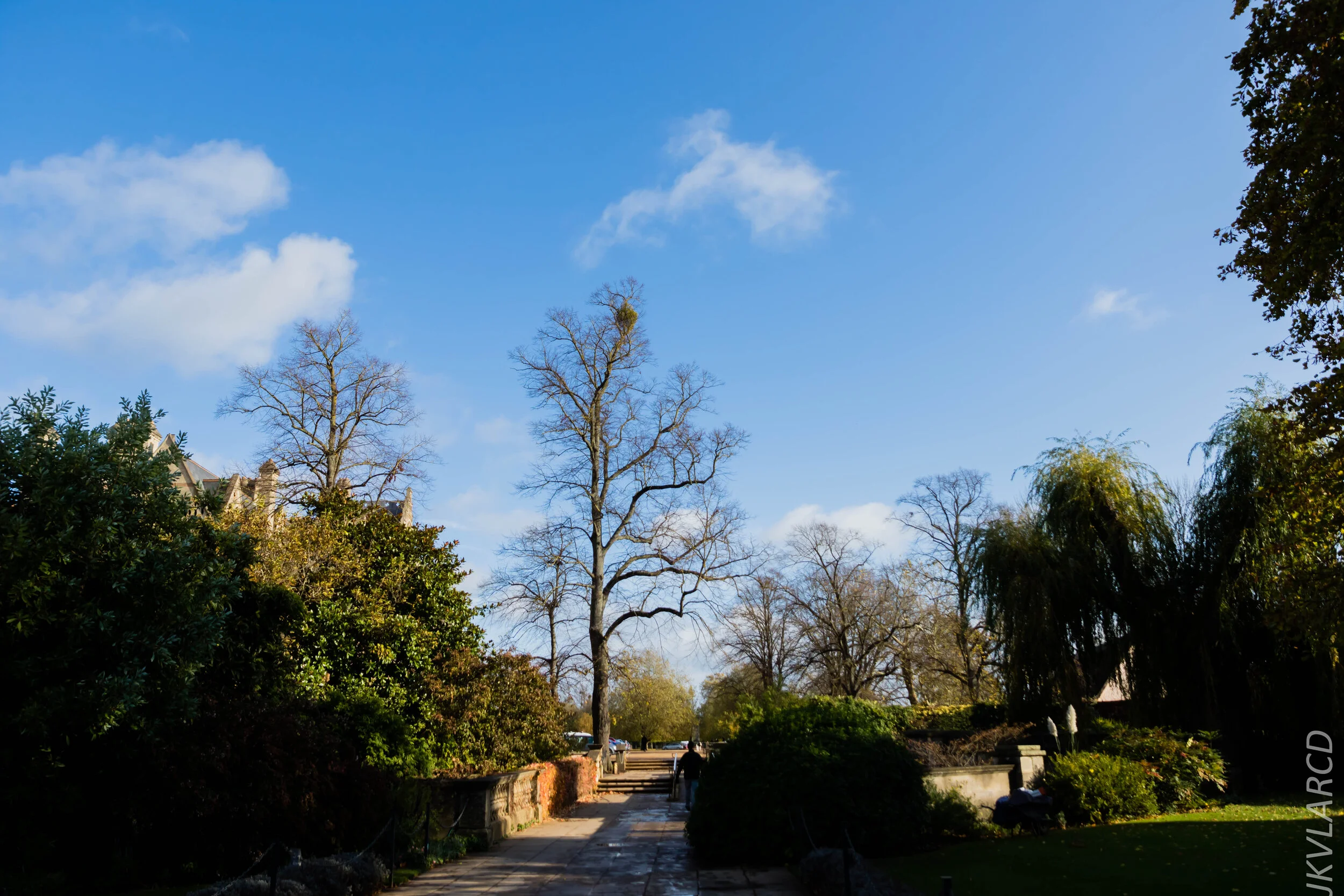 EOS 7D Mark II_2019_11_11_8001.jpg