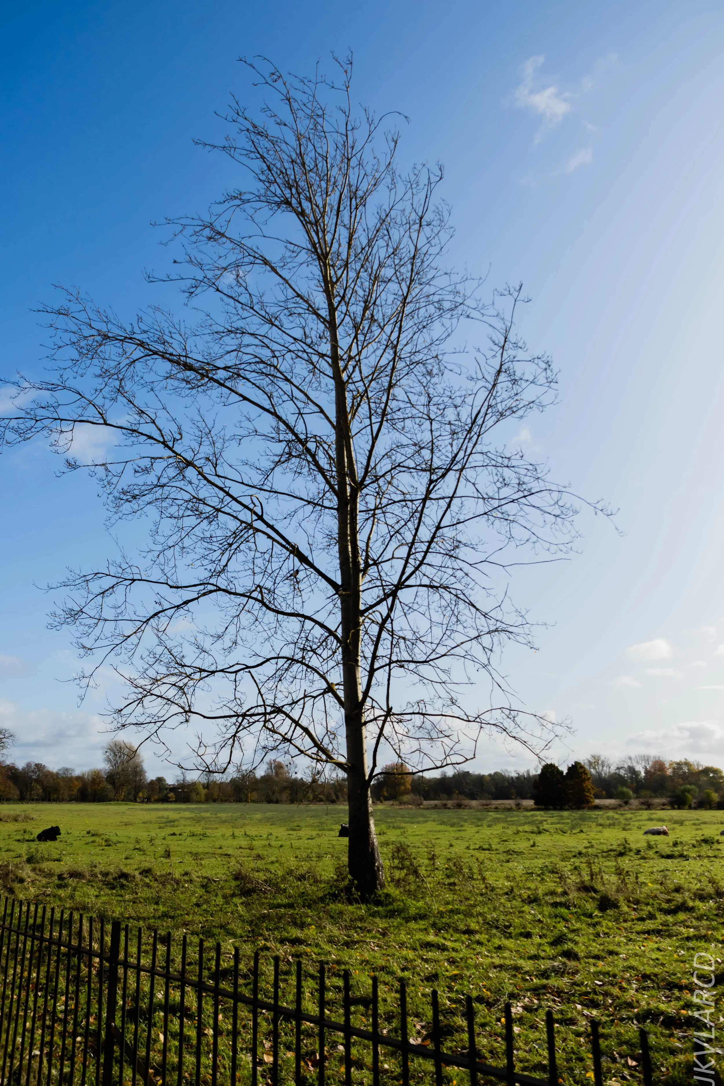 EOS 7D Mark II_2019_11_11_8004.jpg