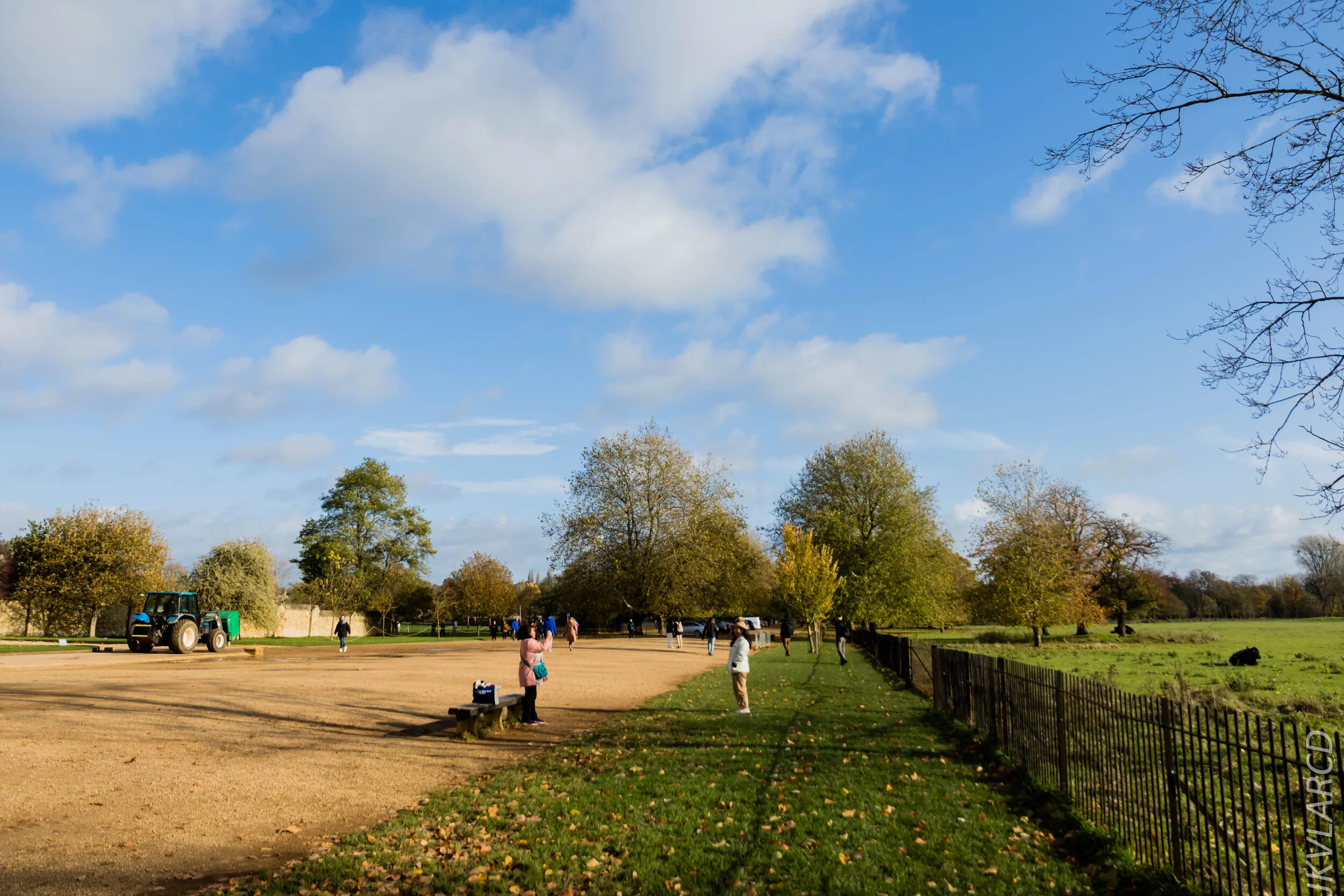 EOS 7D Mark II_2019_11_11_8006.jpg