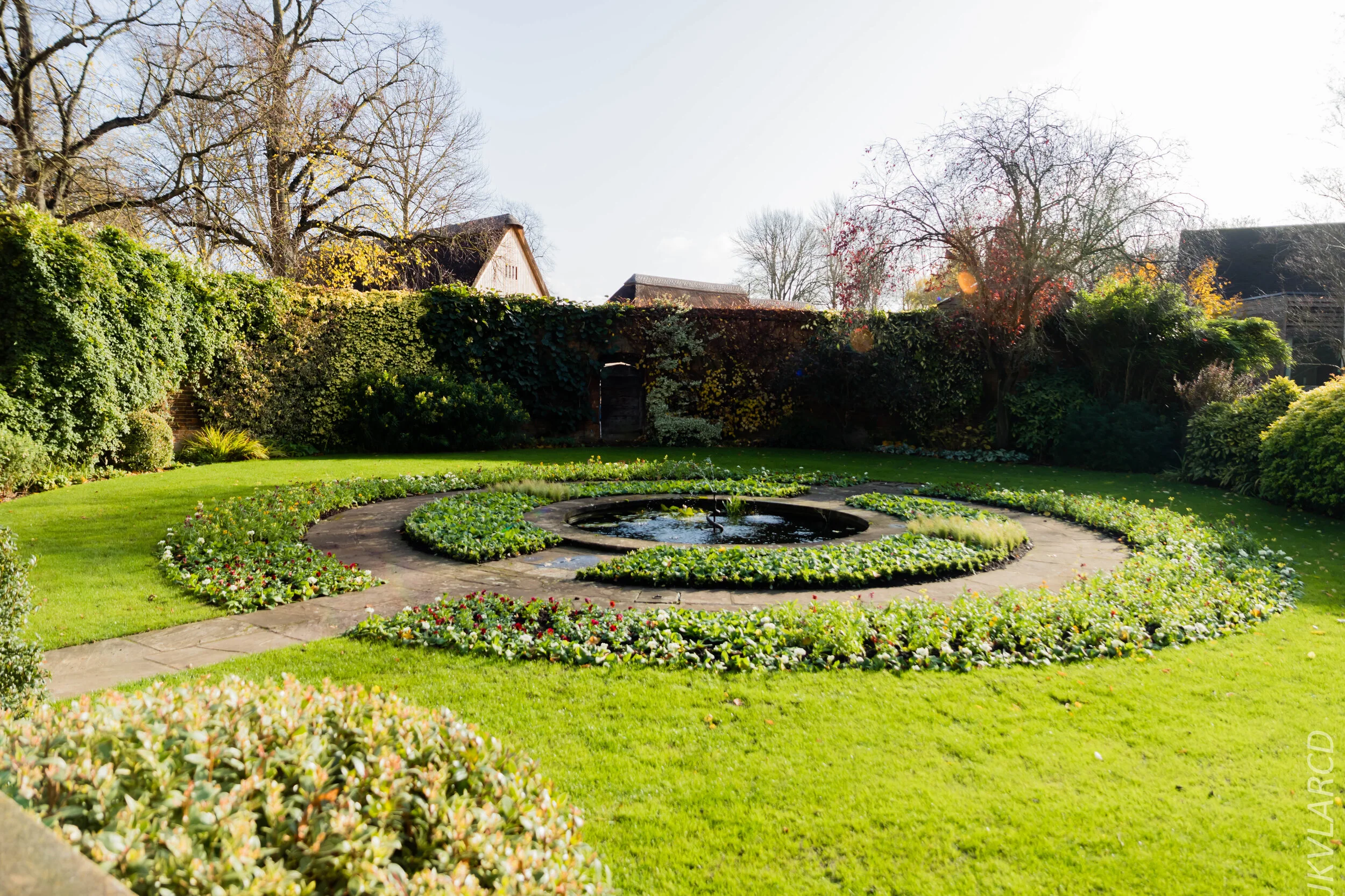 EOS 7D Mark II_2019_11_11_8010.jpg