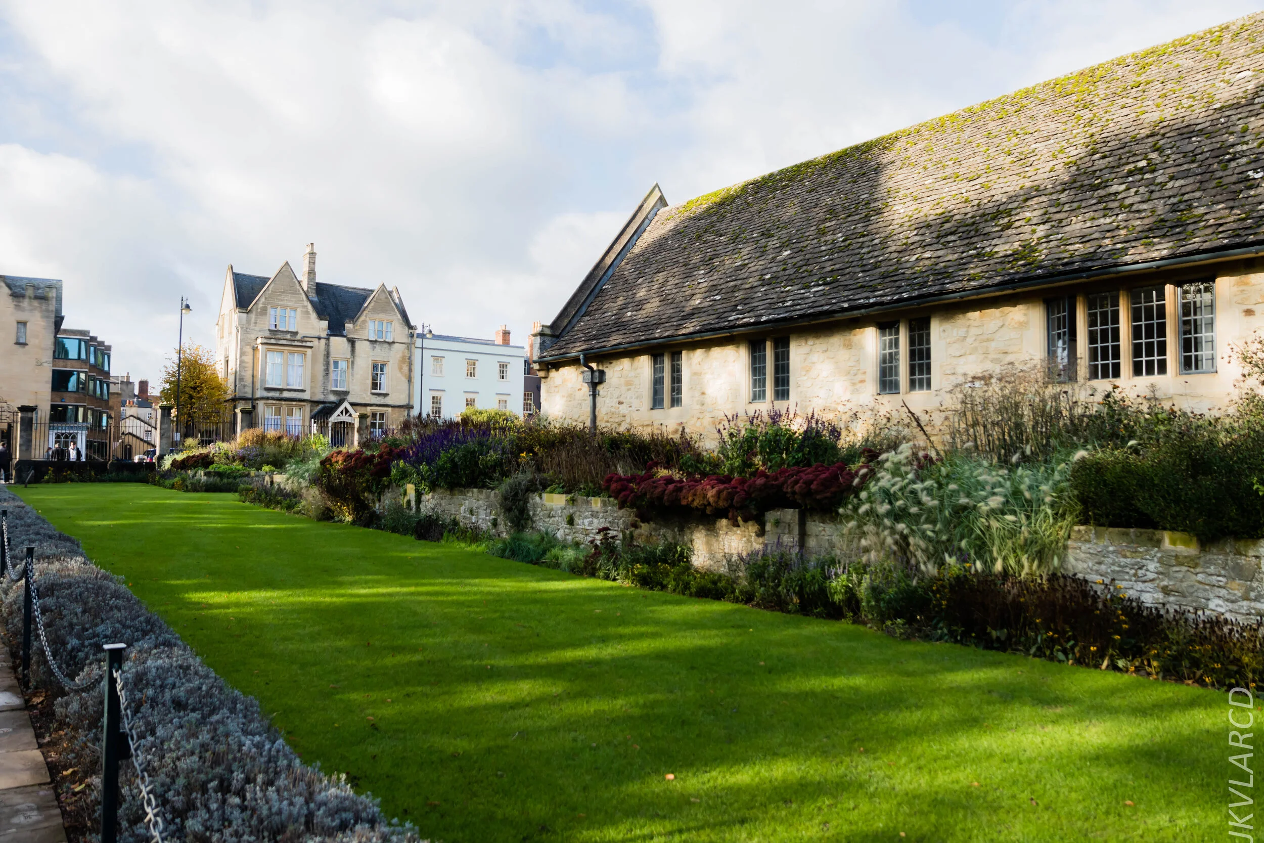 EOS 7D Mark II_2019_11_11_8012.jpg