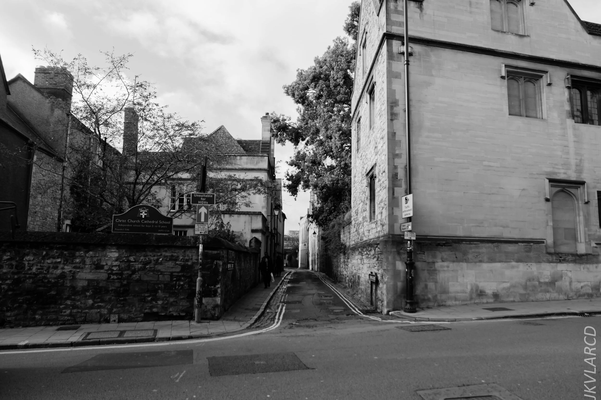 EOS 7D Mark II_2019_11_11_8013.jpg