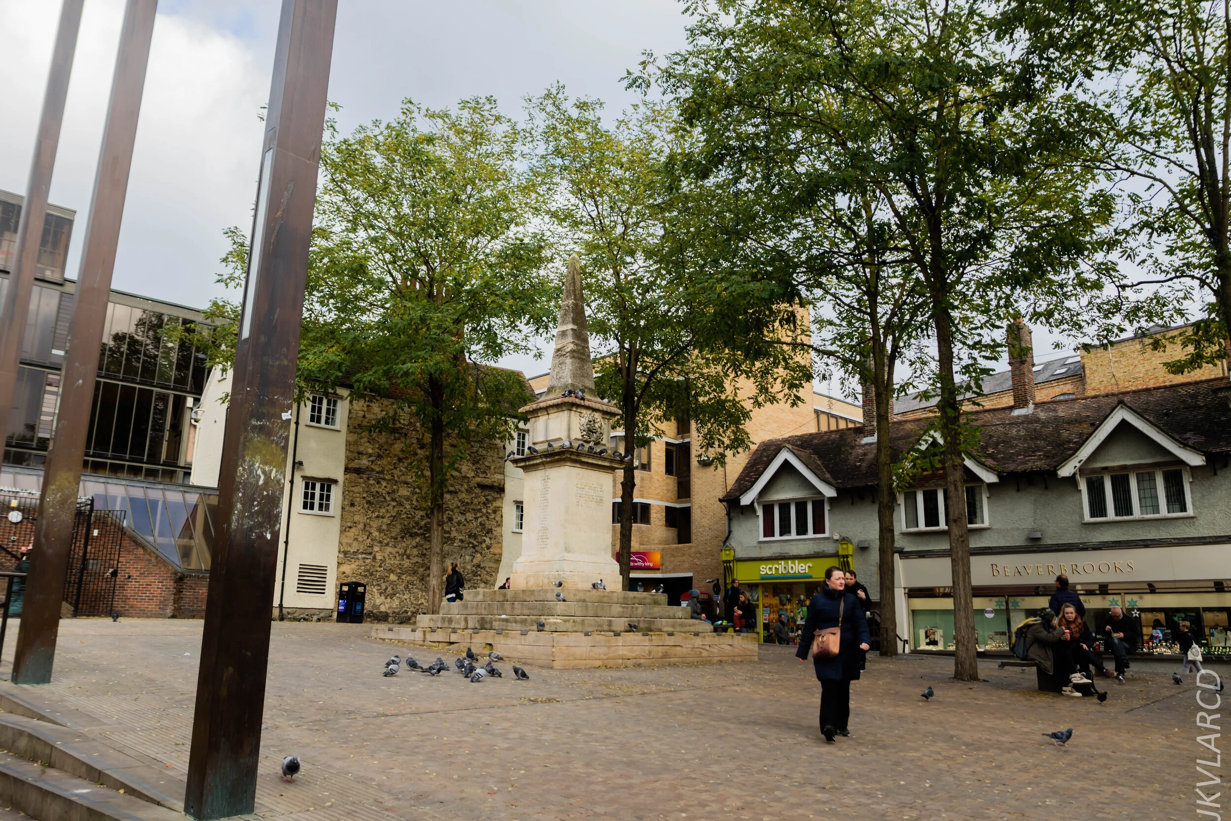 EOS 7D Mark II_2019_11_11_8022.jpg