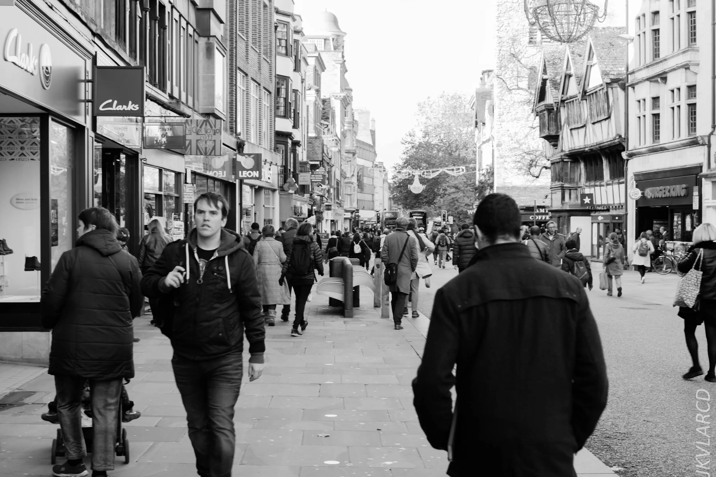 EOS 7D Mark II_2019_11_11_8030.jpg