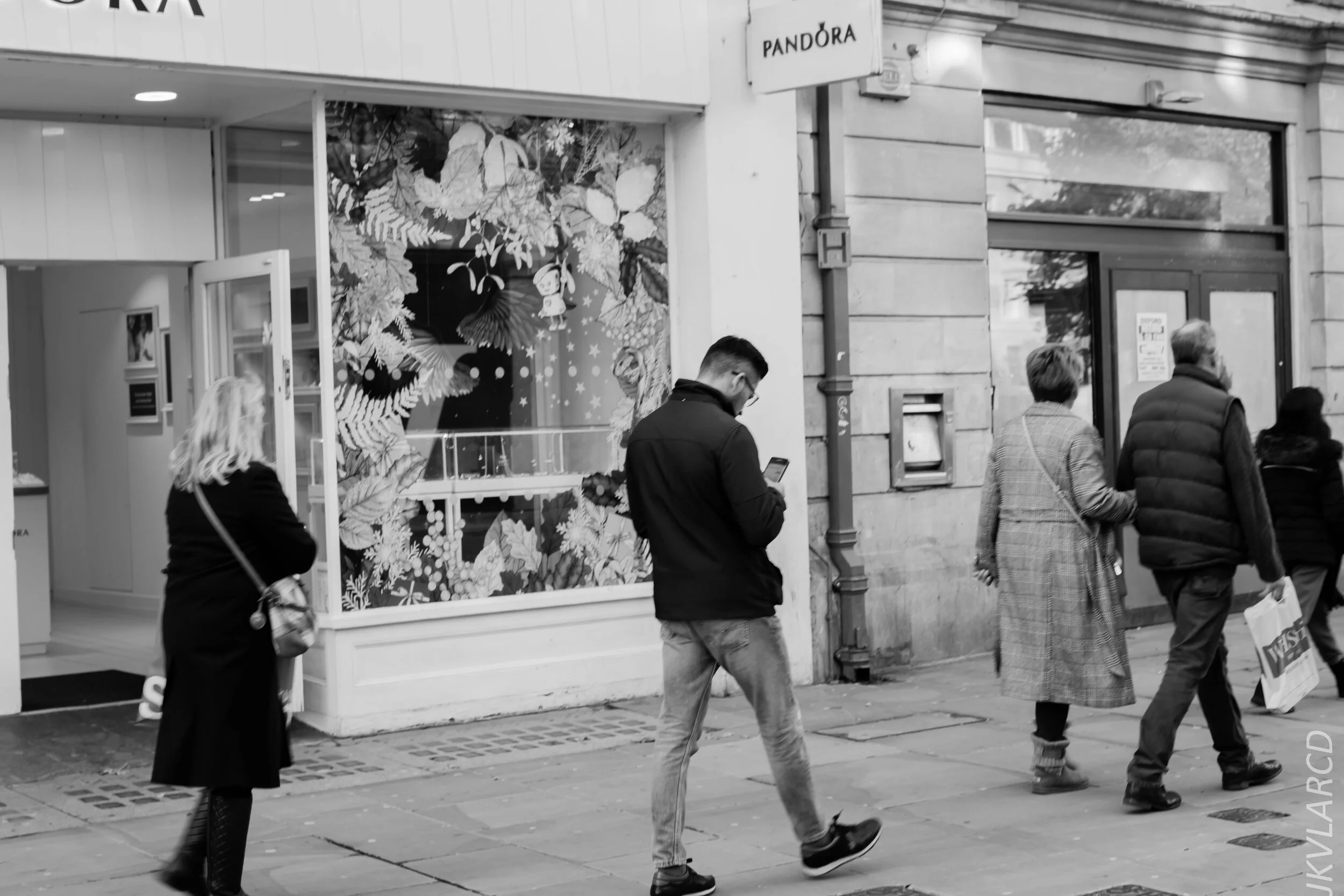 EOS 7D Mark II_2019_11_11_8031.jpg