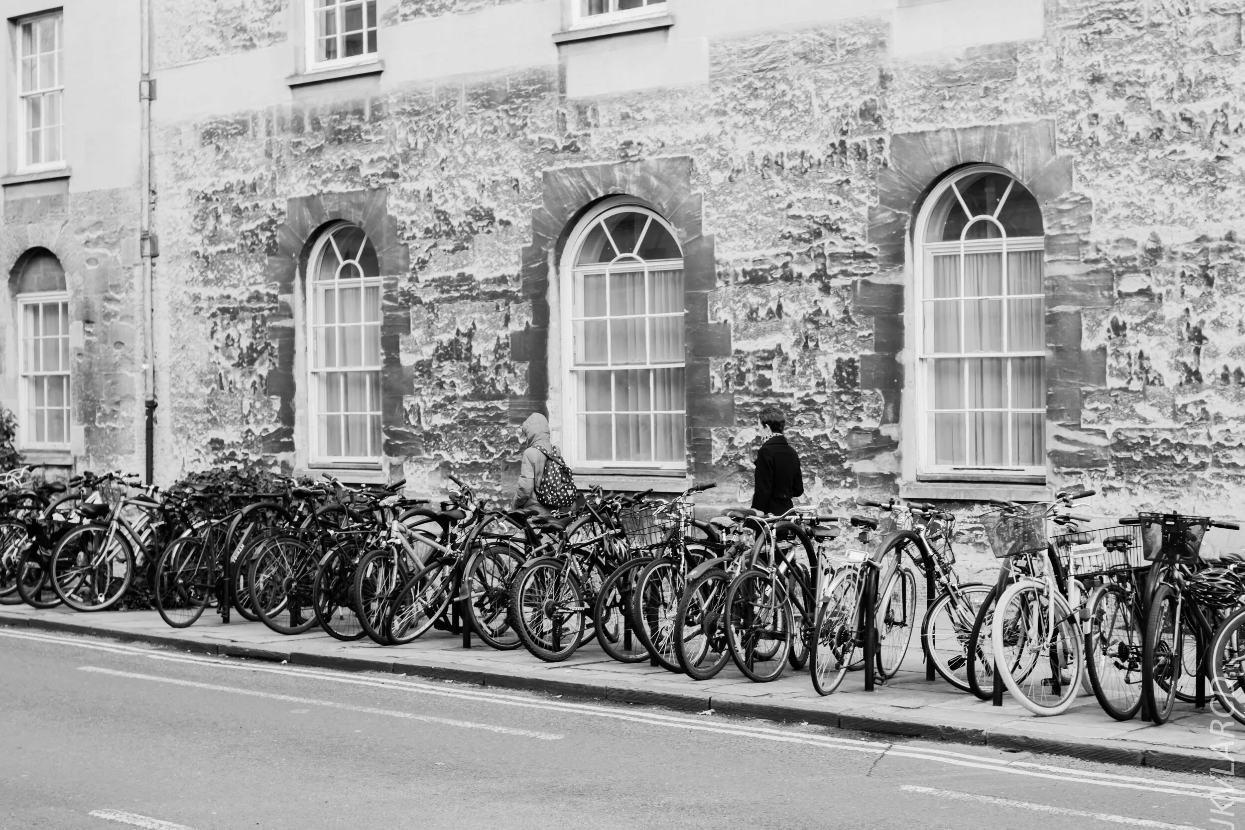 EOS 7D Mark II_2019_11_11_8033.jpg